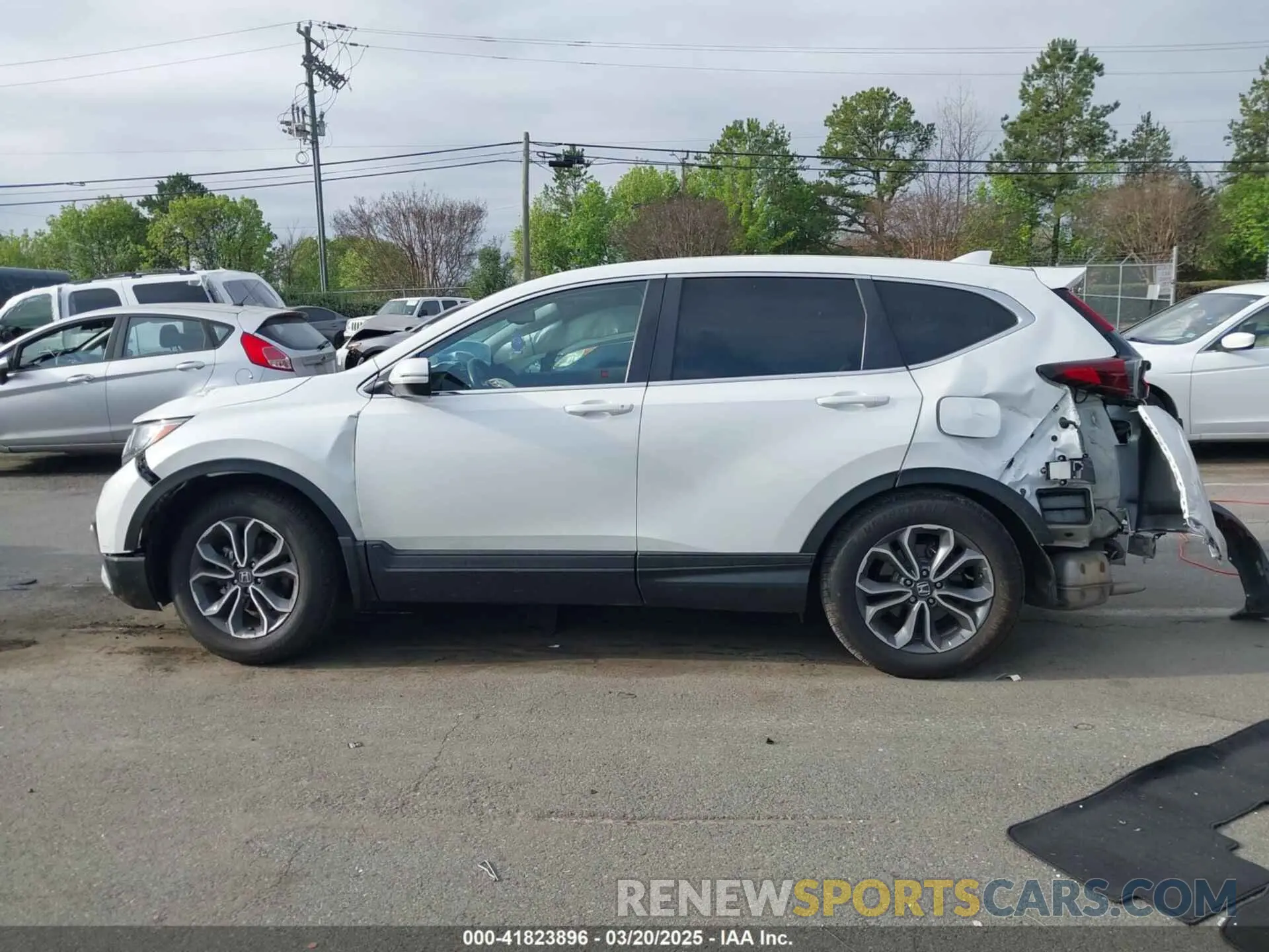 13 Photograph of a damaged car 2HKRW1H89NH409209 HONDA CR-V 2022