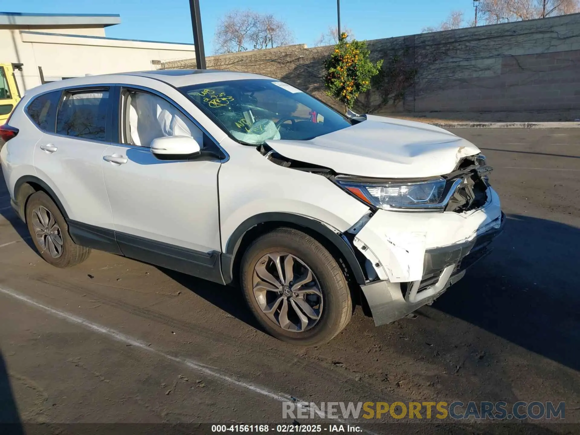 1 Фотография поврежденного автомобиля 5J6RW1H59NA022649 HONDA CR-V 2022