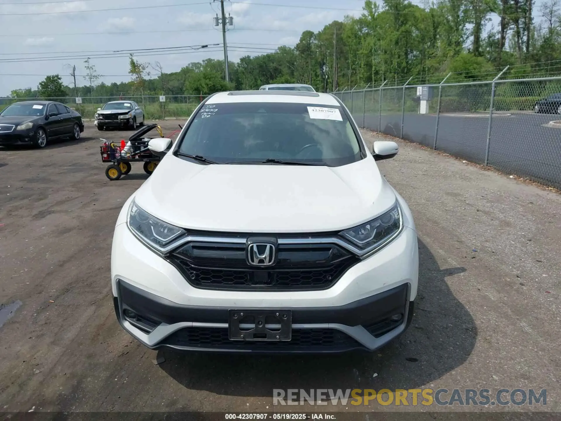 12 Photograph of a damaged car 5J6RW1H8XNA008592 HONDA CR-V 2022