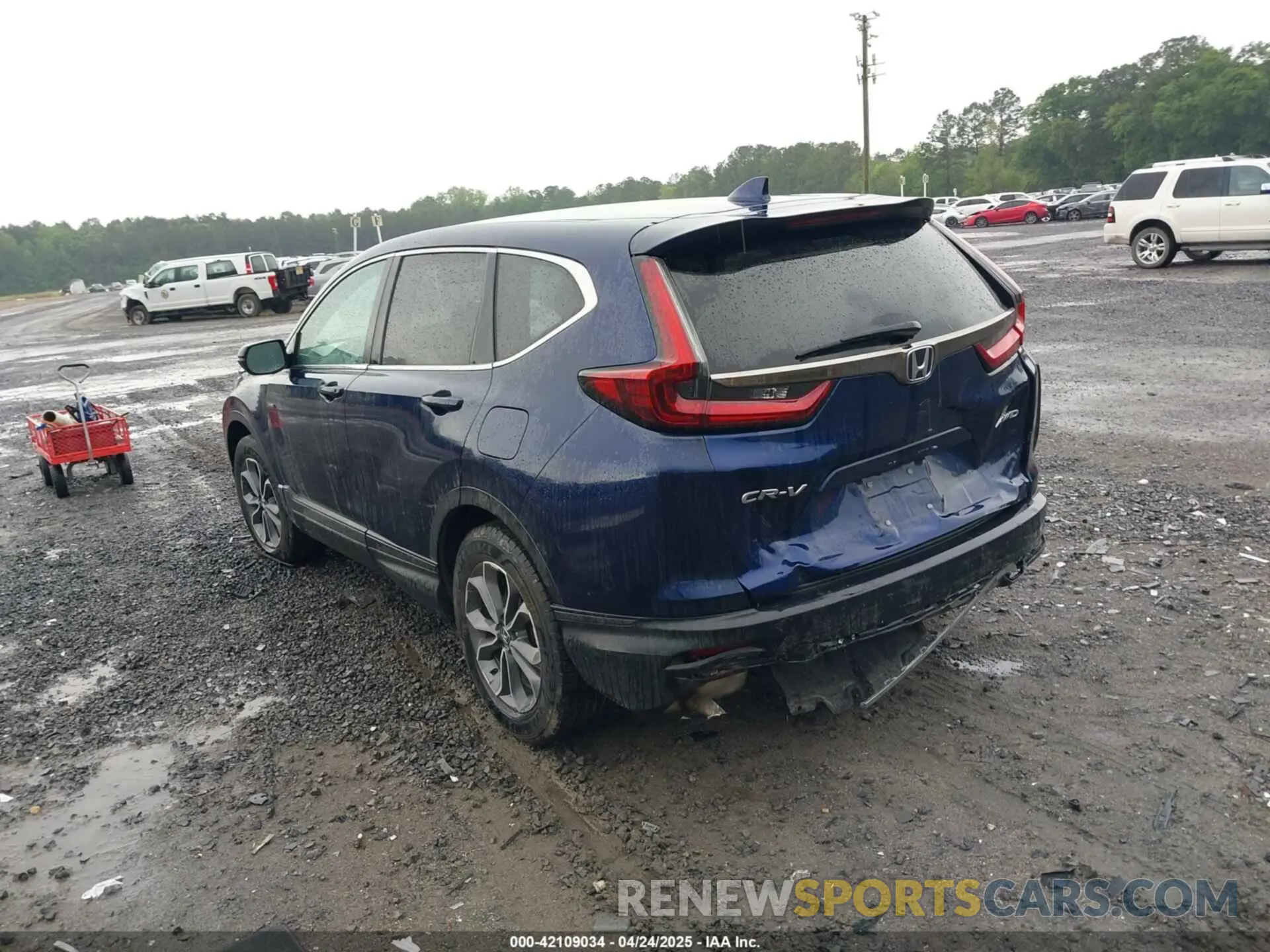 3 Фотография поврежденного автомобиля 5J6RW2H54NA006347 HONDA CR-V 2022