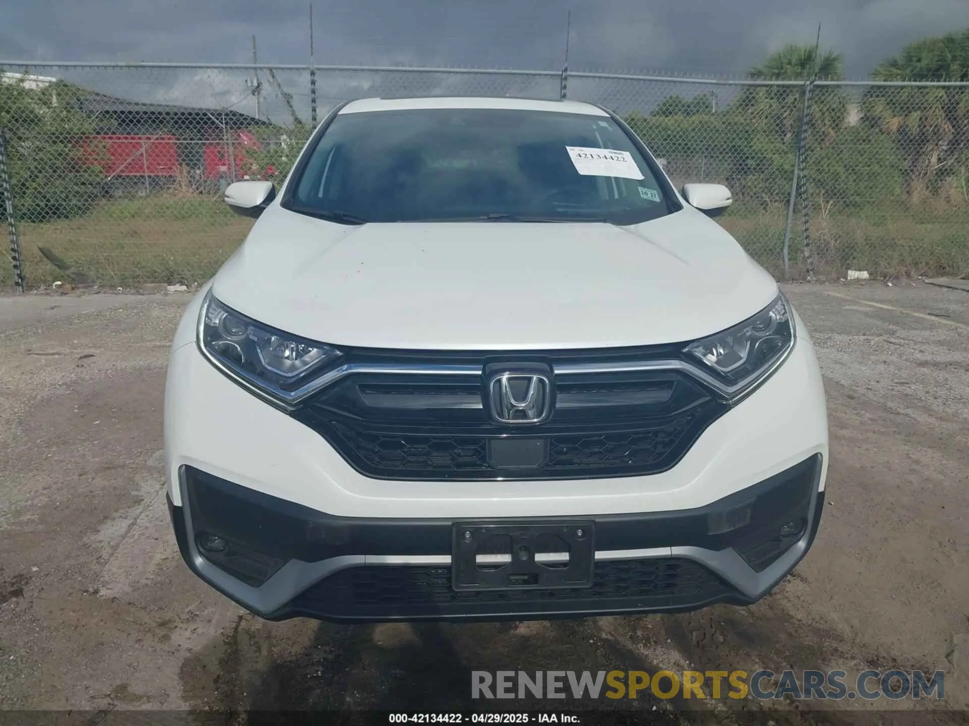 12 Photograph of a damaged car 5J6RW2H54NA016635 HONDA CR-V 2022