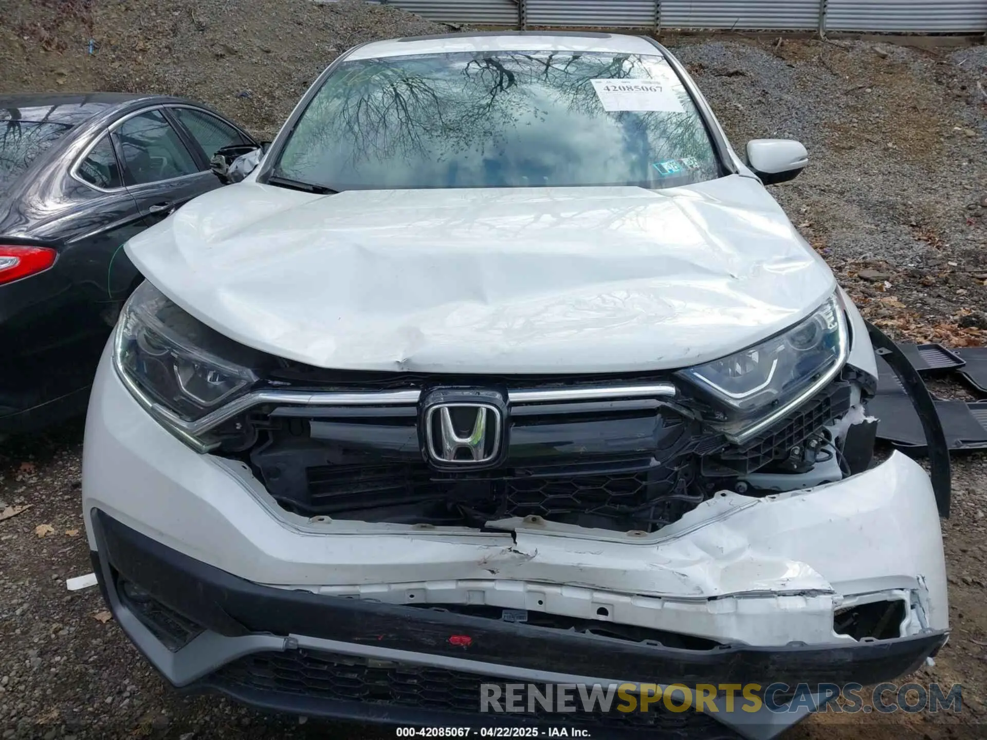 12 Фотография поврежденного автомобиля 7FARW2H50NE051609 HONDA CR-V 2022