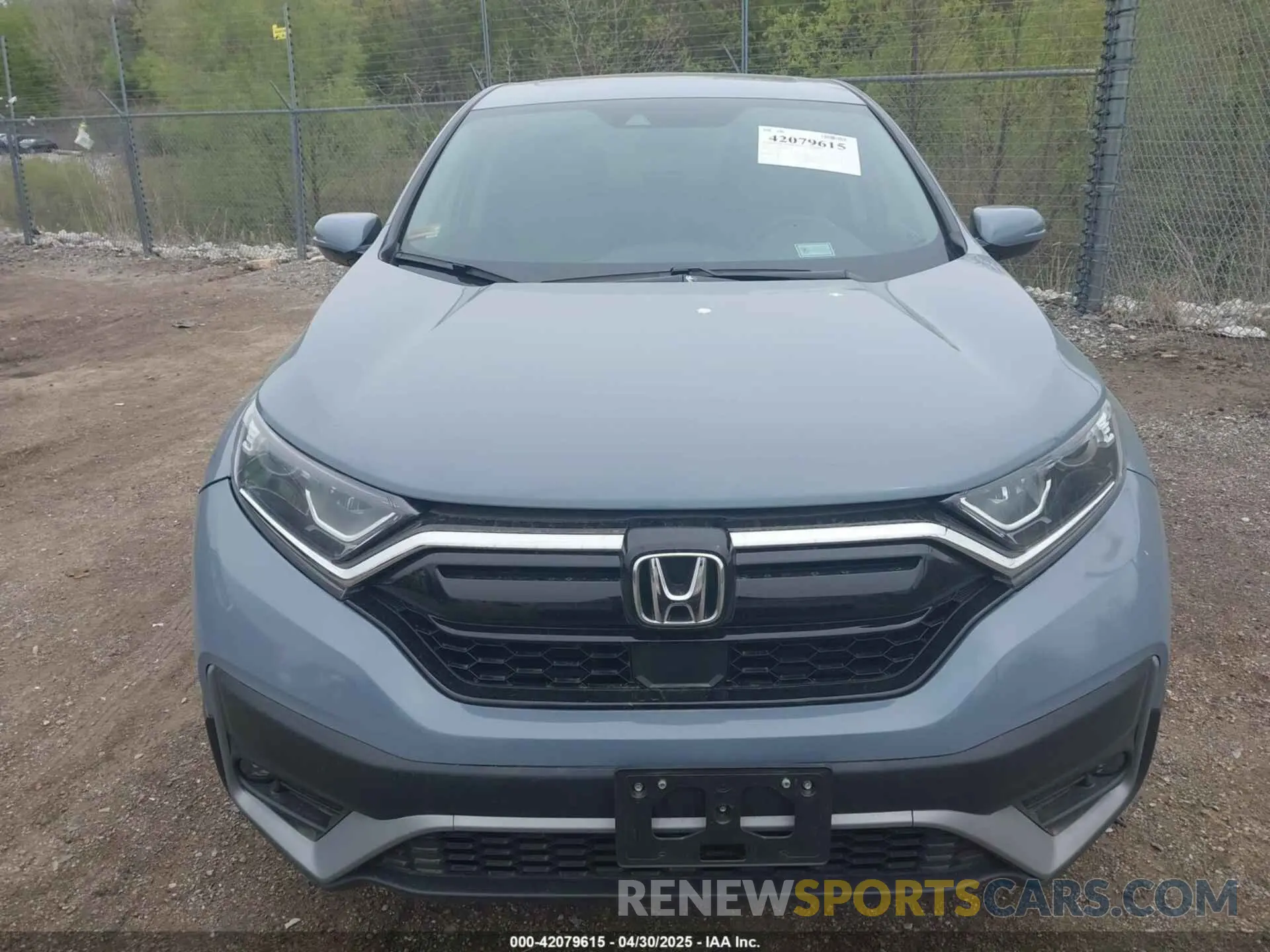 12 Photograph of a damaged car 7FARW2H58NE054077 HONDA CR-V 2022