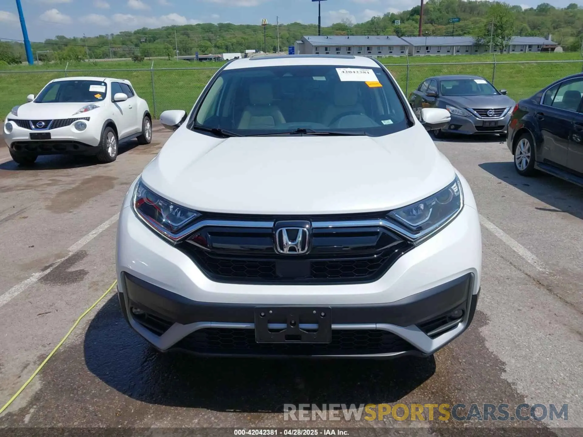 12 Photograph of a damaged car 7FARW2H80NE034139 HONDA CR-V 2022