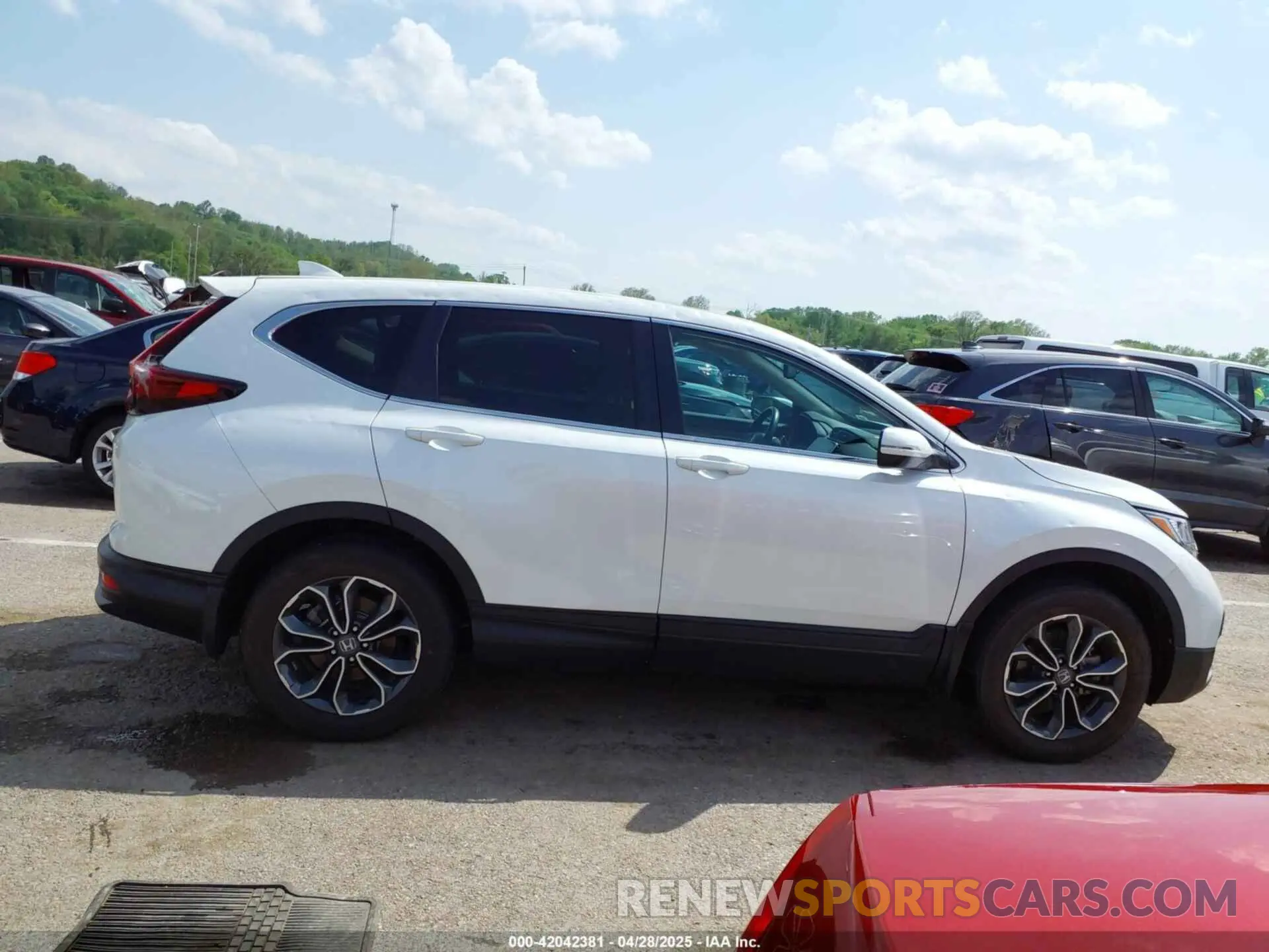 13 Photograph of a damaged car 7FARW2H80NE034139 HONDA CR-V 2022