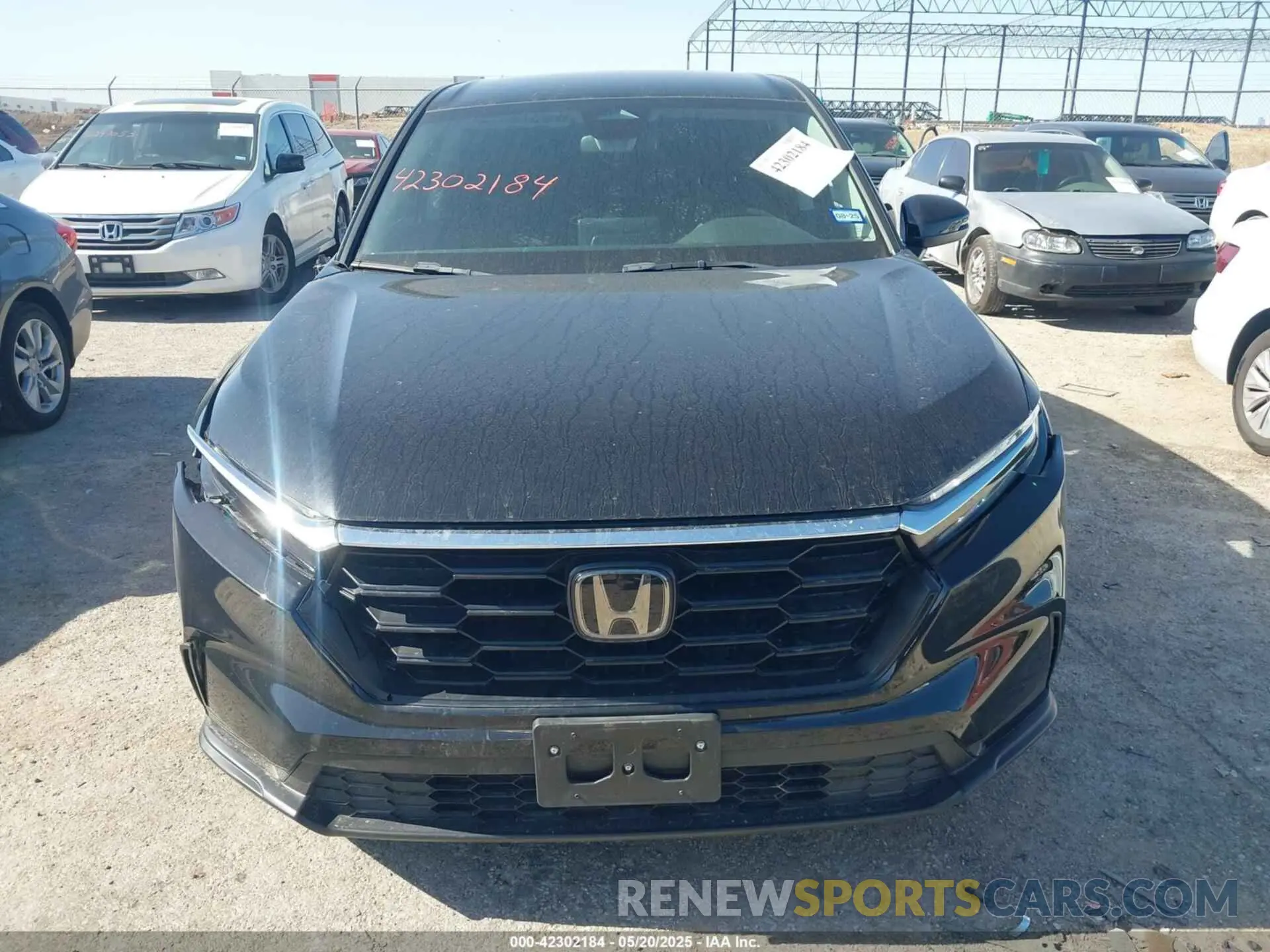 12 Photograph of a damaged car 7FARS4H2XPE019265 HONDA CR-V 2023