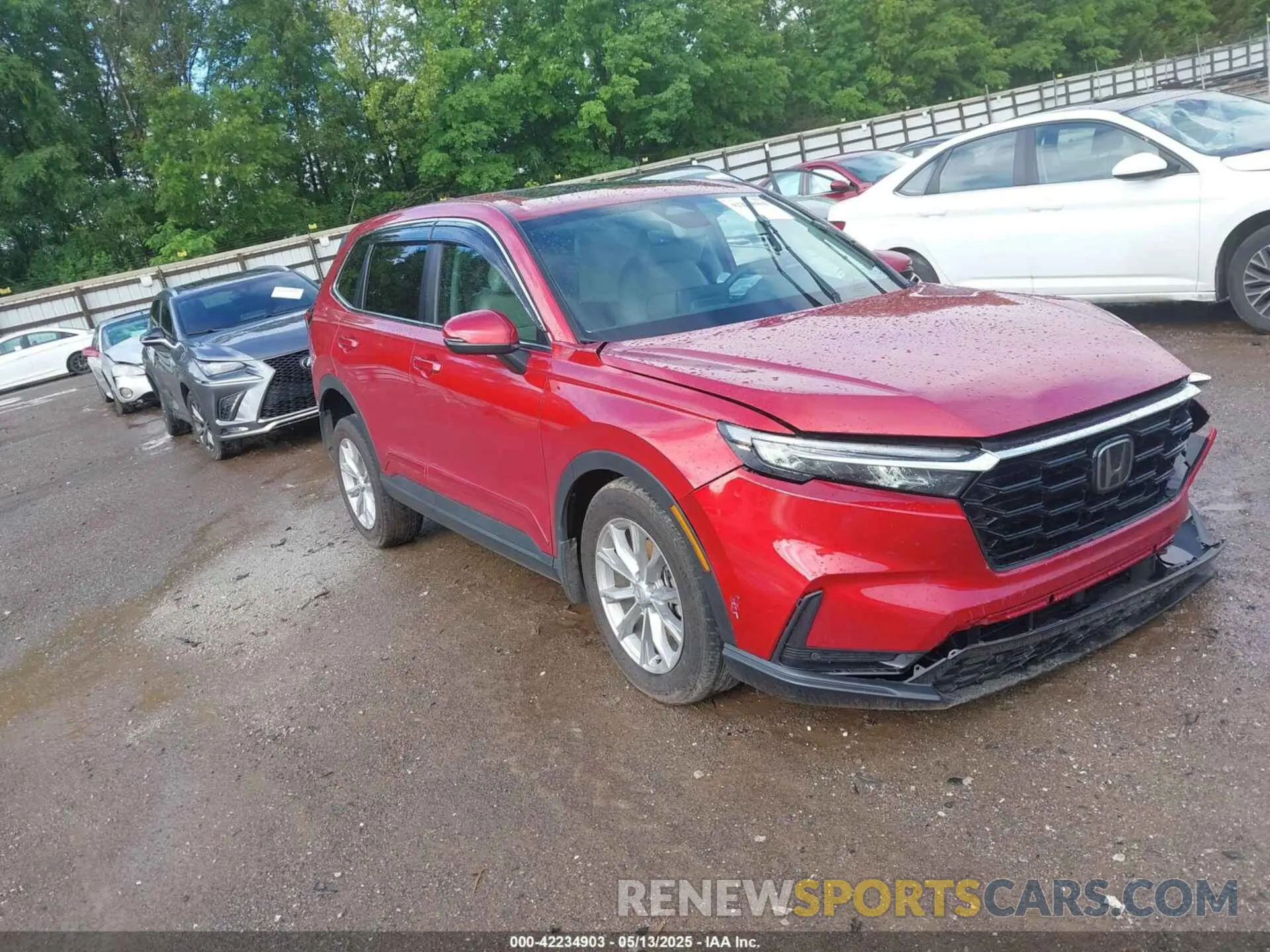 1 Photograph of a damaged car 7FARS4H70PE006259 HONDA CR-V 2023