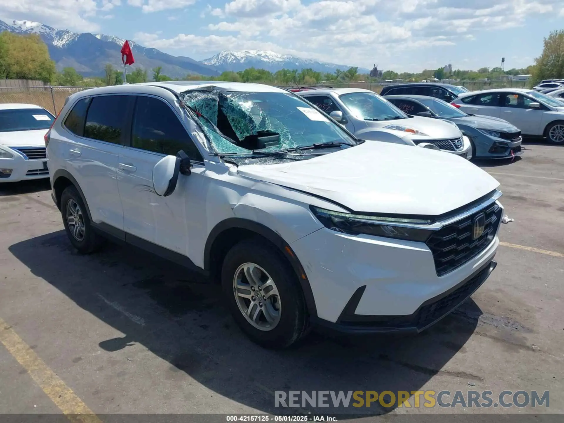 1 Фотография поврежденного автомобиля 2HKRS4H40RH442650 HONDA CR-V 2024