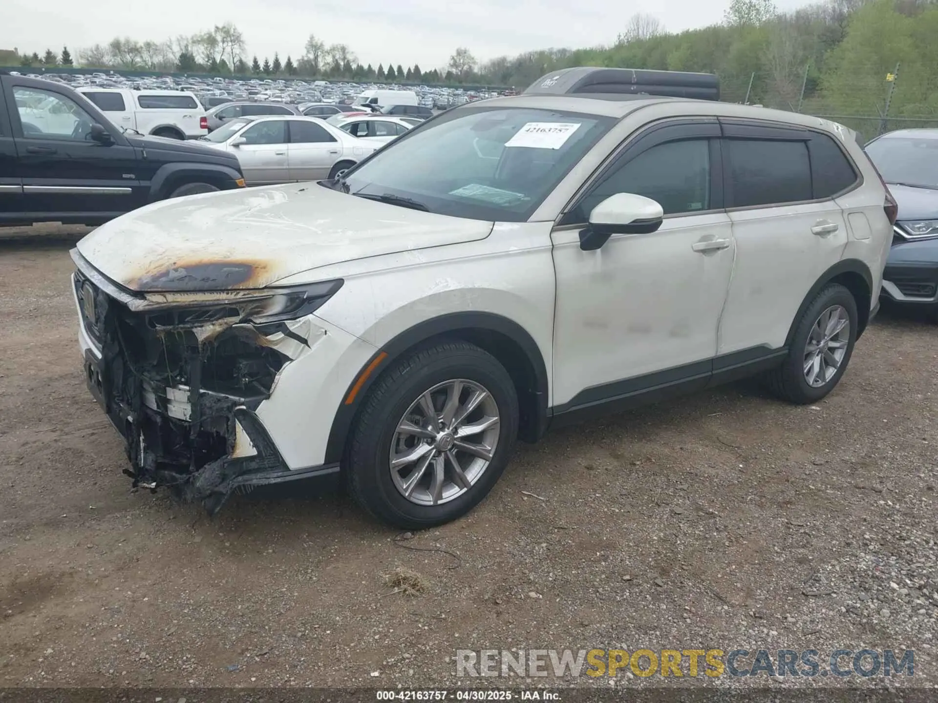 2 Photograph of a damaged car 5J6RS4H70RL004193 HONDA CR-V 2024