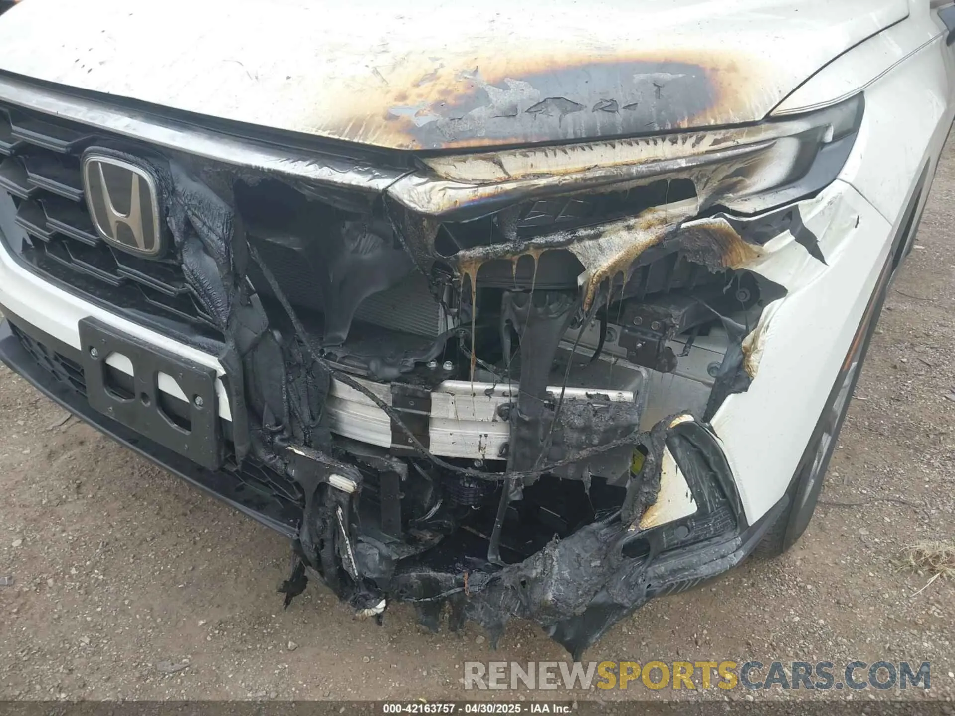 6 Photograph of a damaged car 5J6RS4H70RL004193 HONDA CR-V 2024