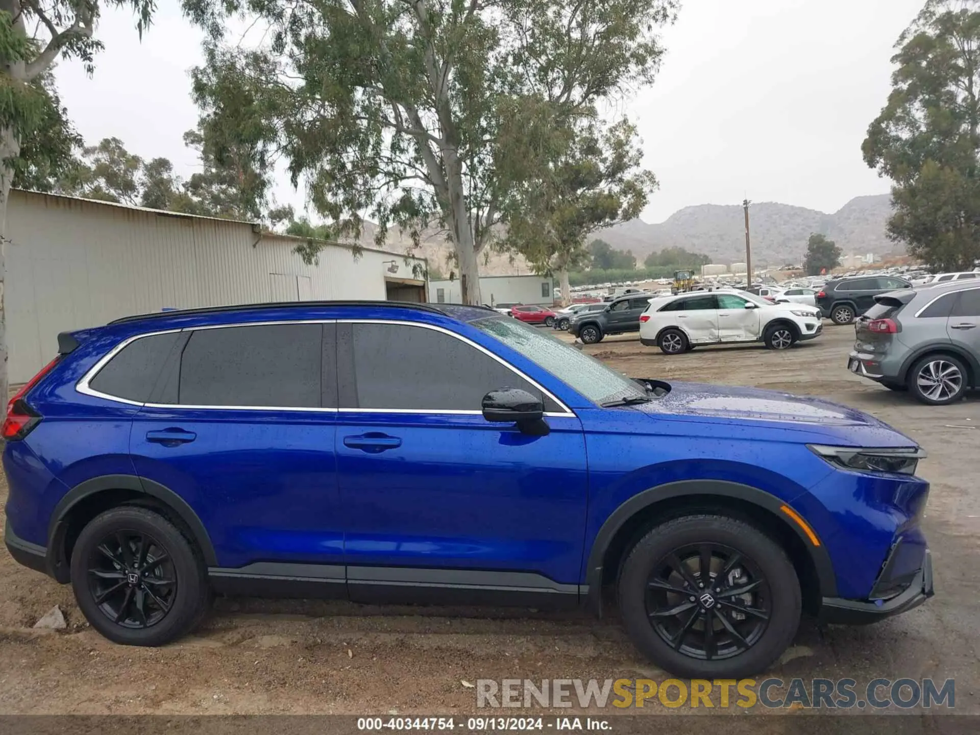 13 Photograph of a damaged car 7FARS6H53RE033596 HONDA CR-V 2024