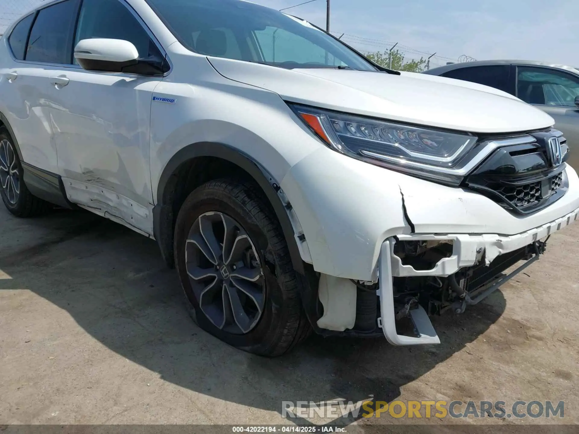 6 Photograph of a damaged car 5J6RT6H81NL027736 HONDA CR-V HYBRID 2022