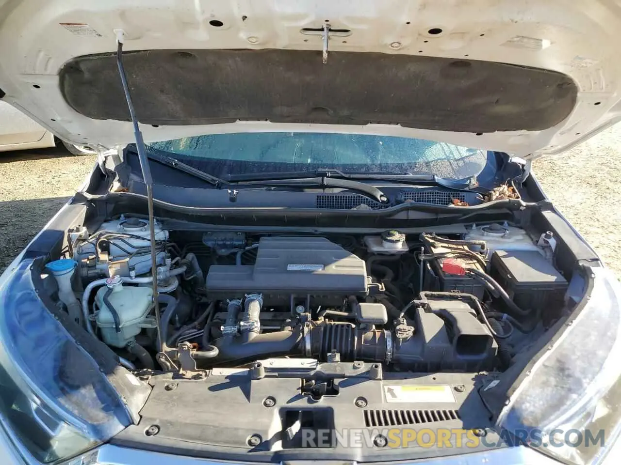 14 Photograph of a damaged car 5J6RW1H85KA037820 HONDA CRV 2019