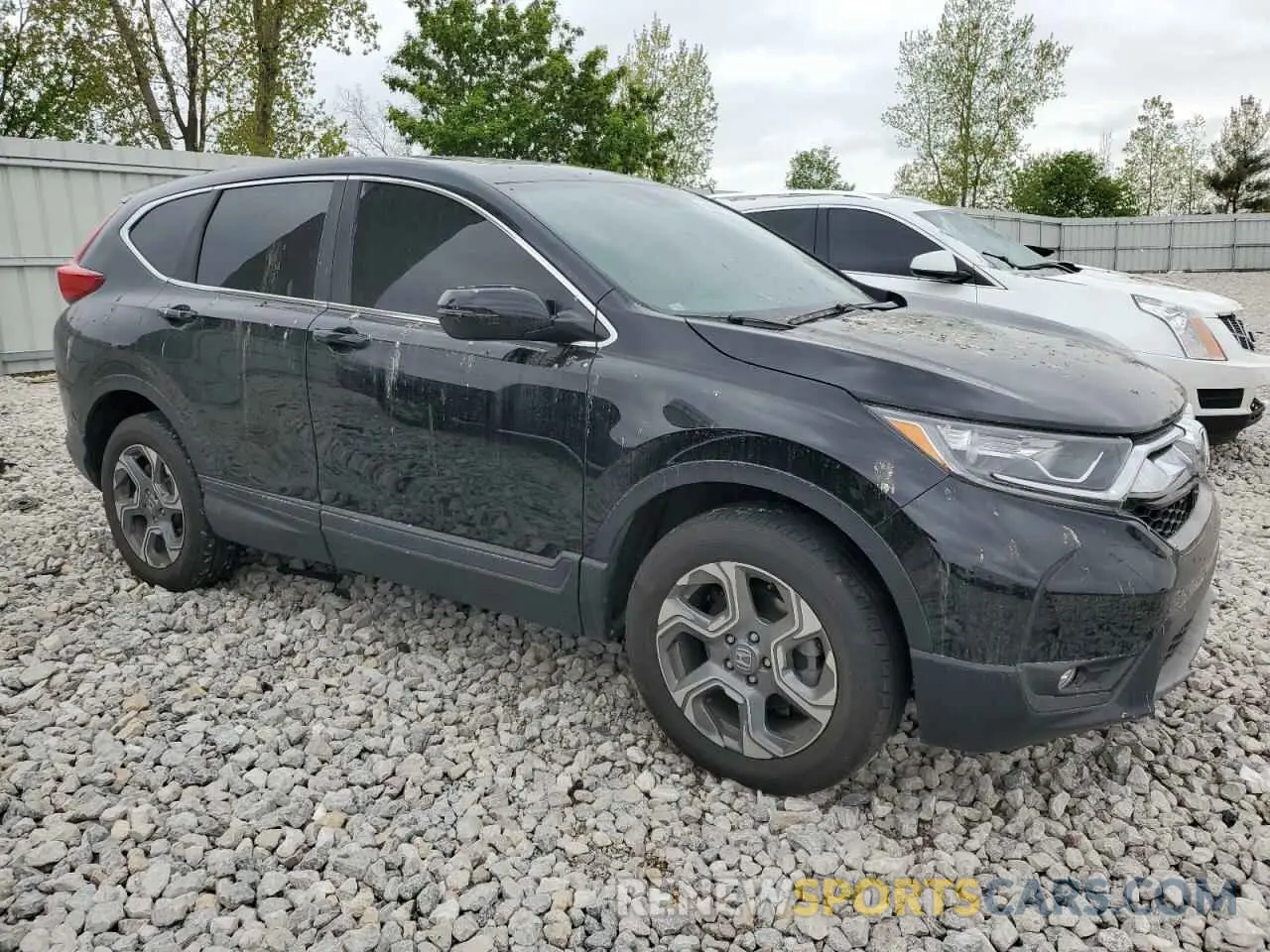 4 Фотография поврежденного автомобиля 5J6RW2H82KA021631 HONDA CRV 2019
