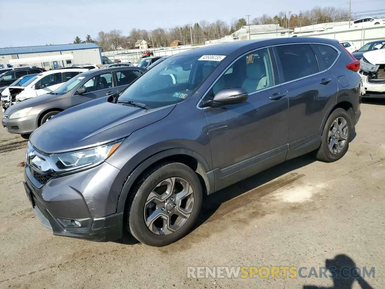 1 Фотография поврежденного автомобиля 5J6RW2H83KL036529 HONDA CRV 2019