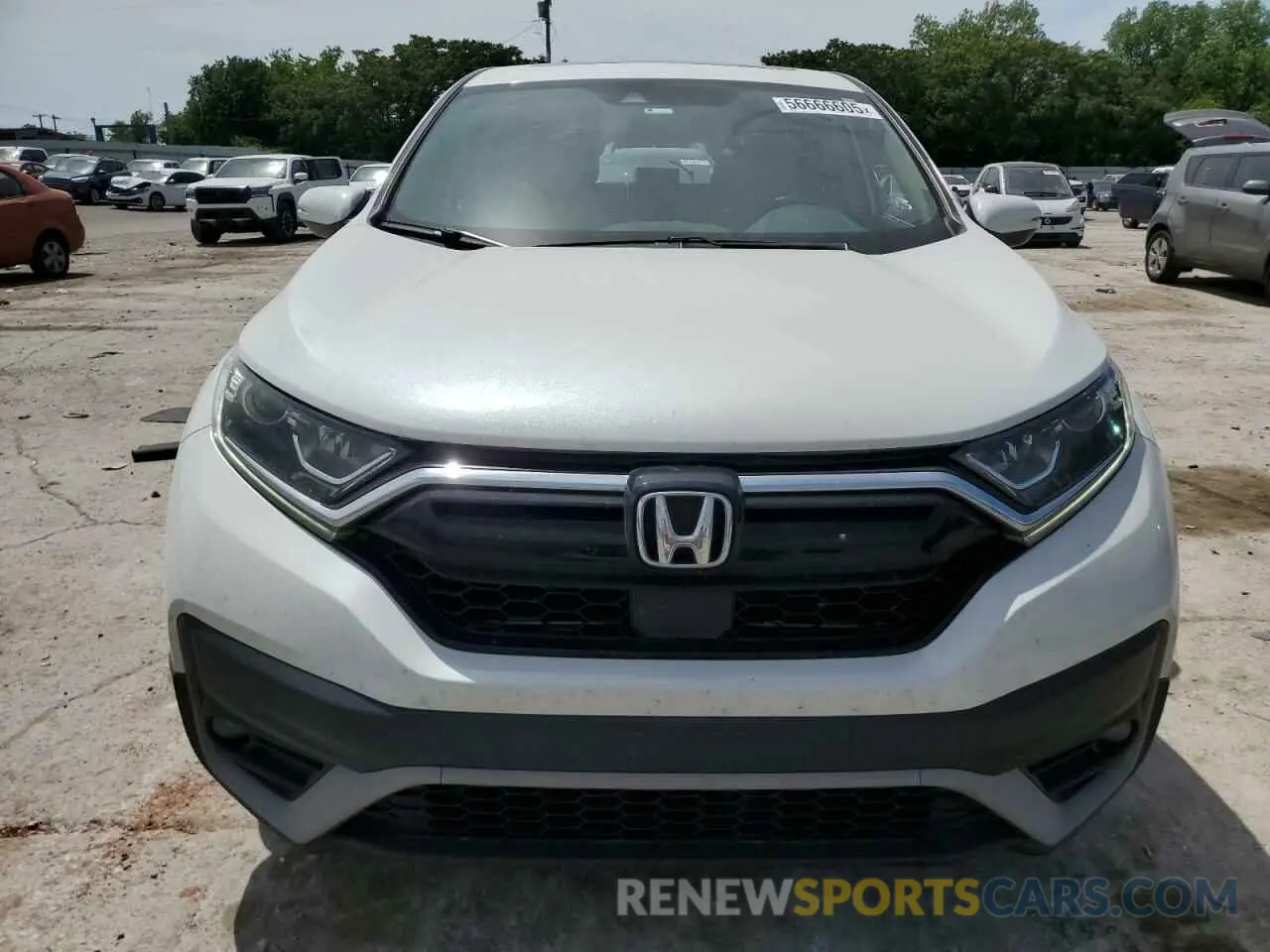 5 Фотография поврежденного автомобиля 5J6RW1H81LA014696 HONDA CRV 2020
