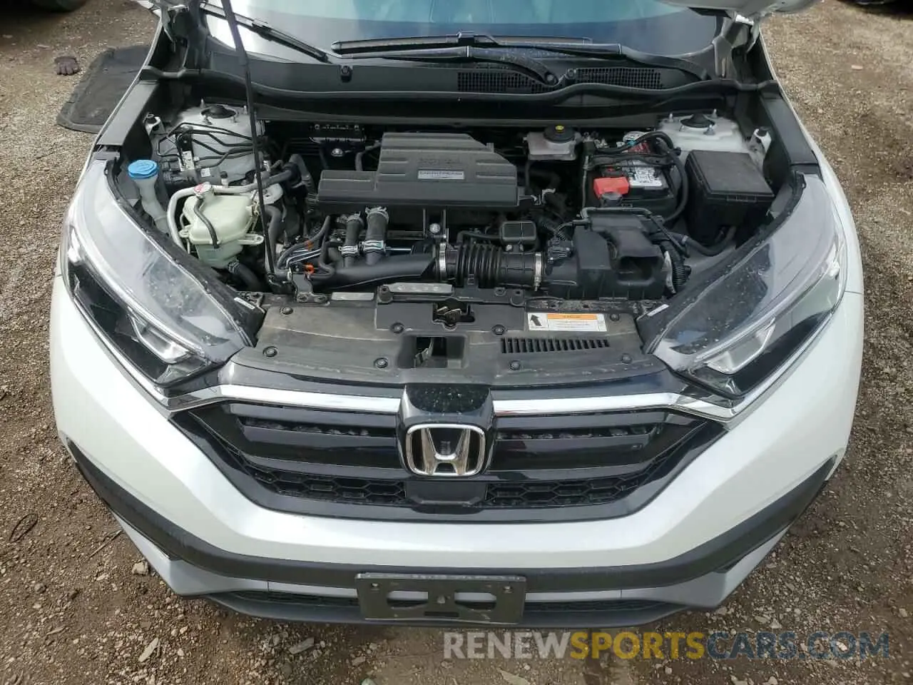 11 Photograph of a damaged car 5J6RW2H81LL021268 HONDA CRV 2020