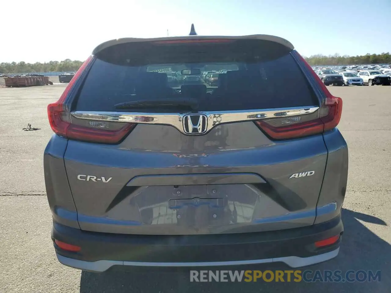 6 Photograph of a damaged car 5J6RW2H89ML003408 HONDA CRV 2021