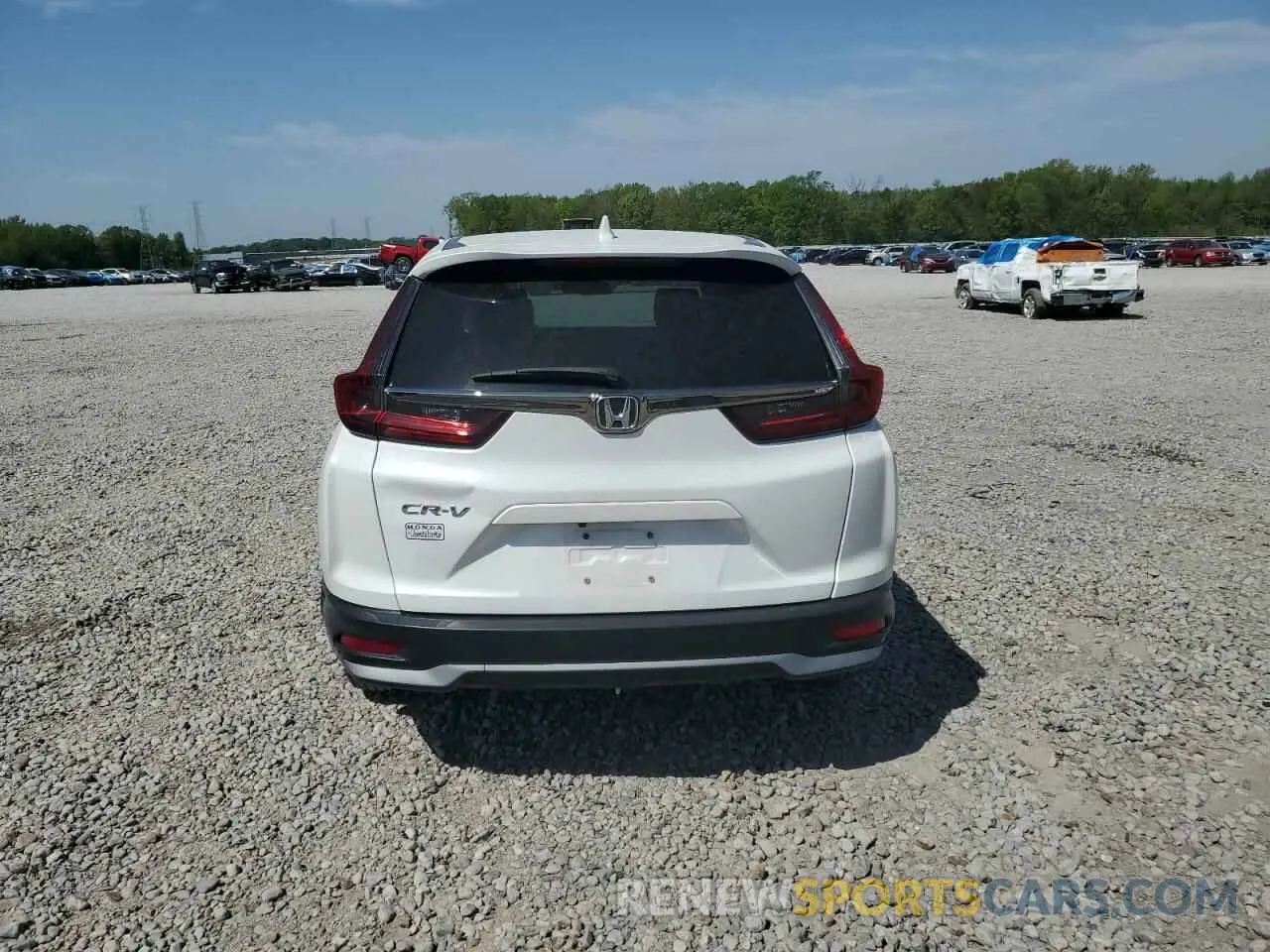 6 Photograph of a damaged car 5J6RW1H87NA008582 HONDA CRV 2022