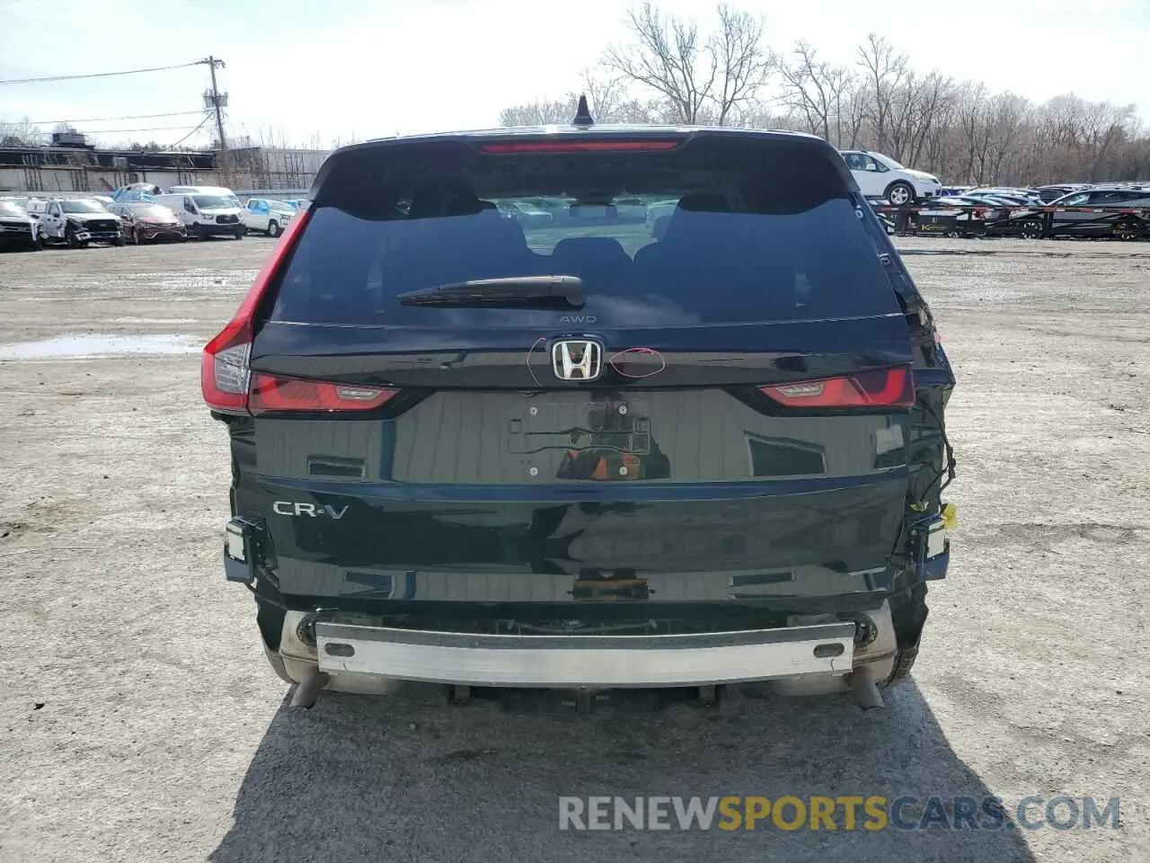 6 Фотография поврежденного автомобиля 2HKRS4H43RH482074 HONDA CRV 2024