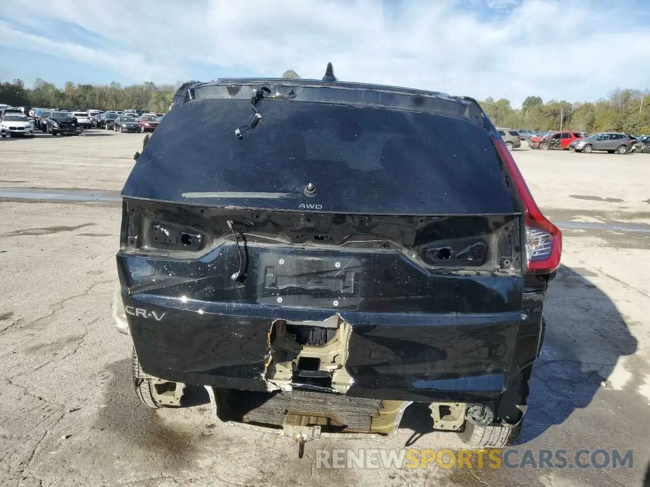 6 Фотография поврежденного автомобиля 2HKRS4H76RH443599 HONDA CRV 2024