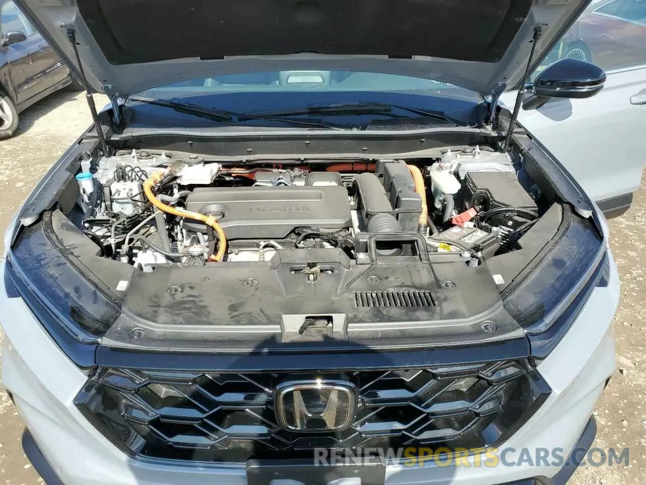 12 Photograph of a damaged car 5J6RS6H81RL037207 HONDA CRV 2024