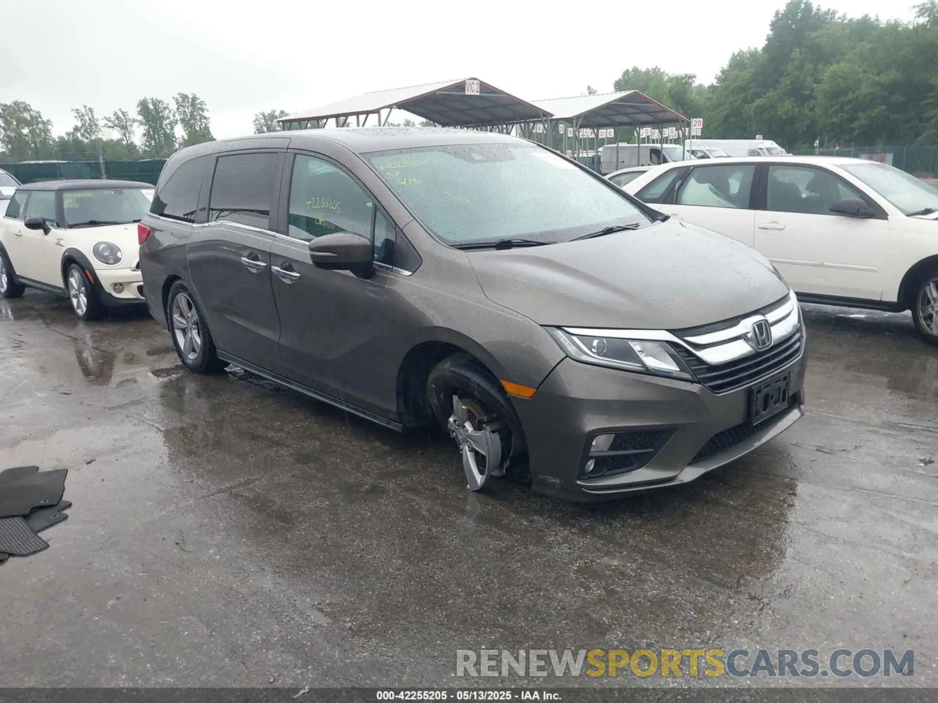 1 Photograph of a damaged car 5FNRL6H75LB000360 HONDA ODYSSEY 2020