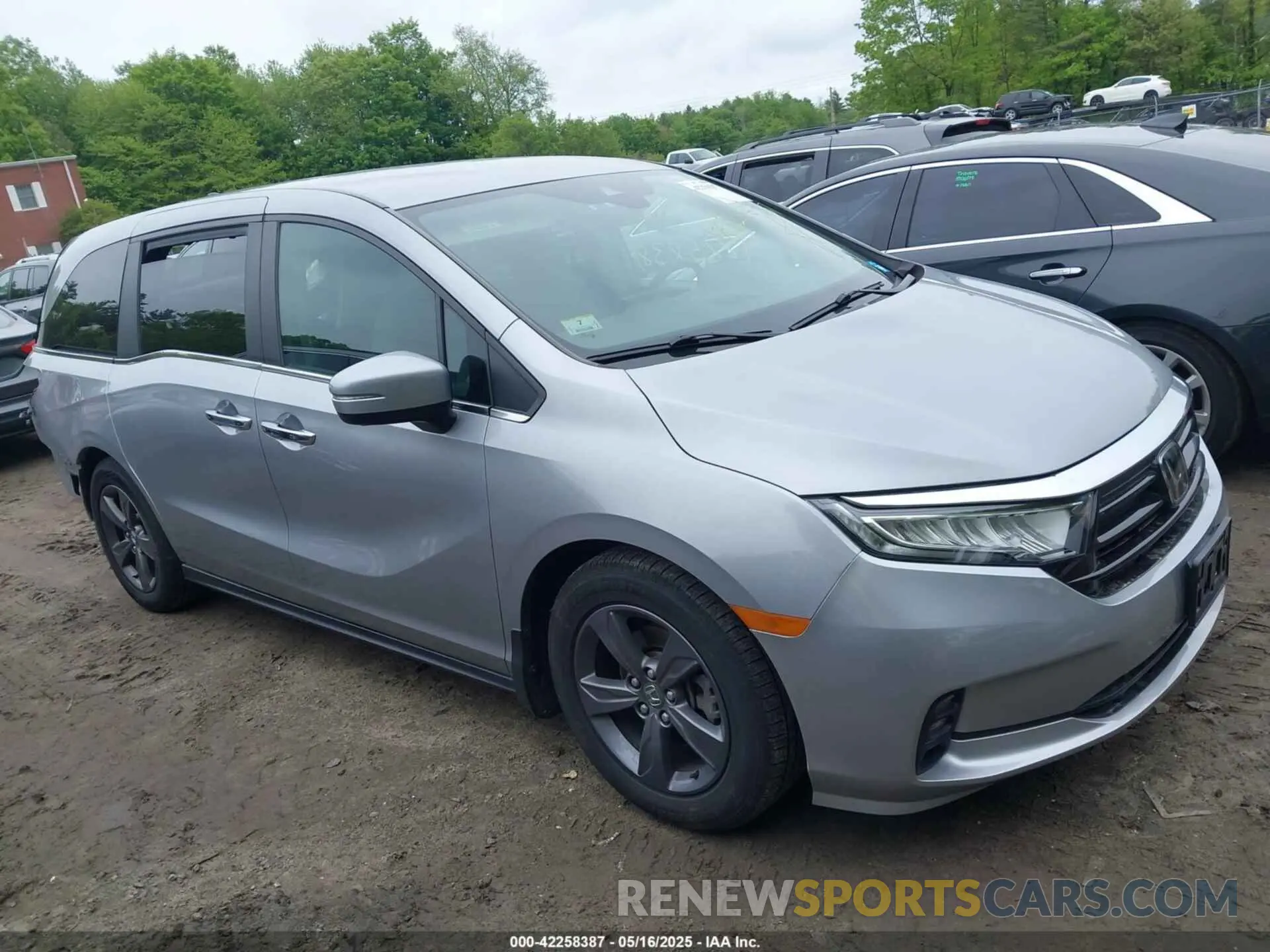 1 Фотография поврежденного автомобиля 5FNRL6H50MB016840 HONDA ODYSSEY 2021