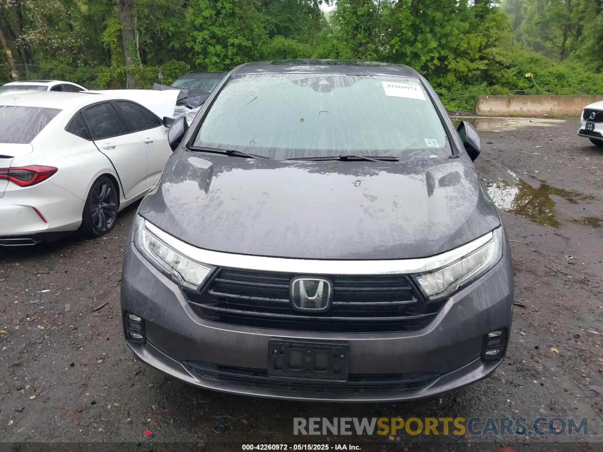 11 Photograph of a damaged car 5FNRL6H77NB018068 HONDA ODYSSEY 2022