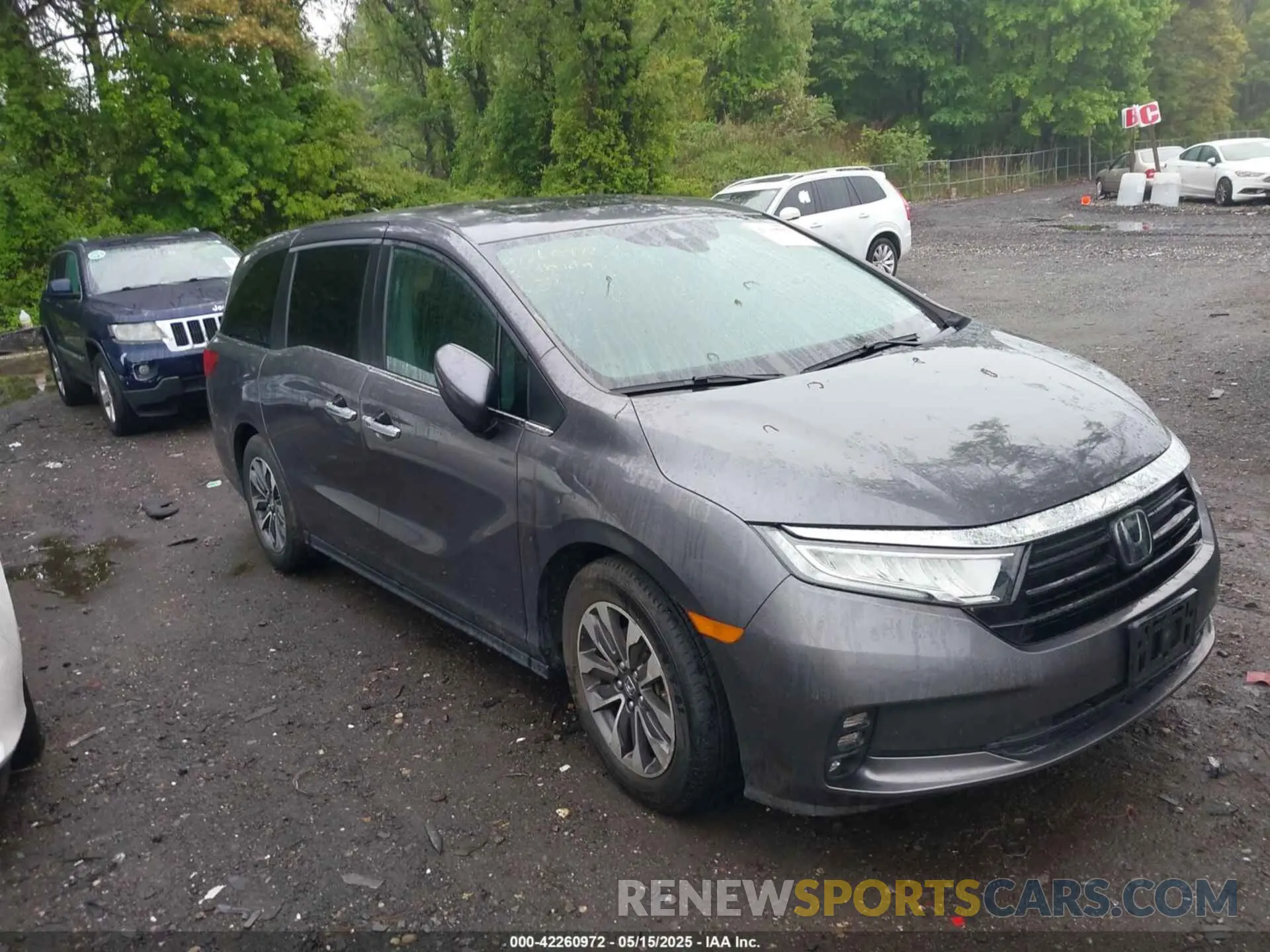 12 Photograph of a damaged car 5FNRL6H77NB018068 HONDA ODYSSEY 2022