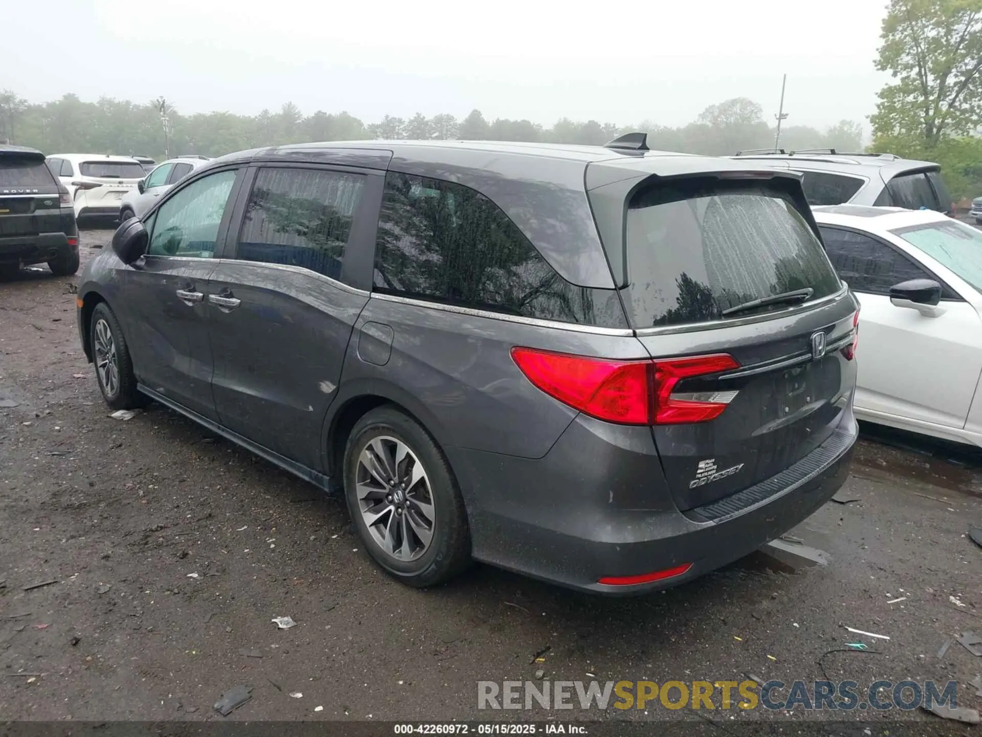 3 Photograph of a damaged car 5FNRL6H77NB018068 HONDA ODYSSEY 2022