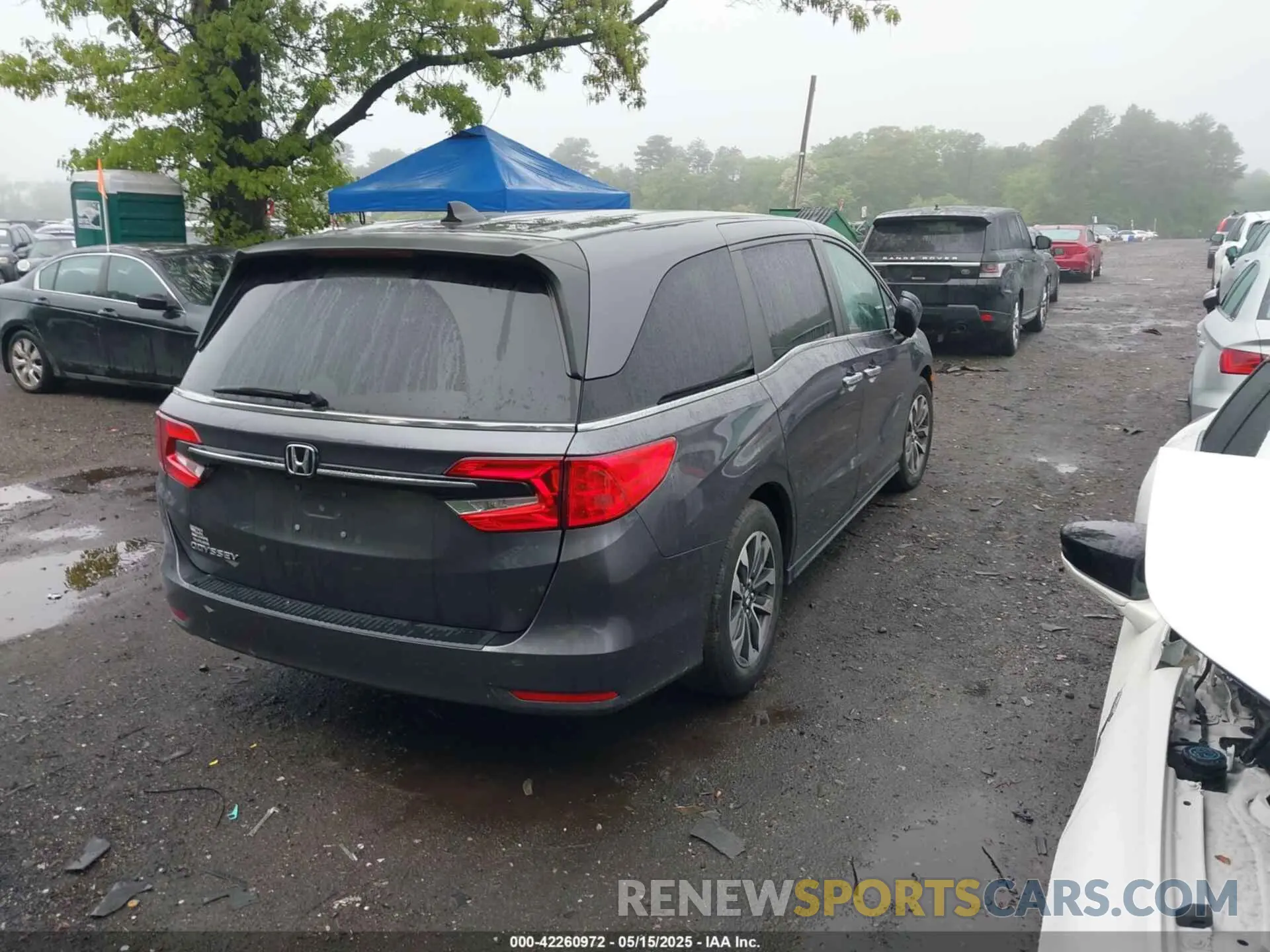 4 Photograph of a damaged car 5FNRL6H77NB018068 HONDA ODYSSEY 2022