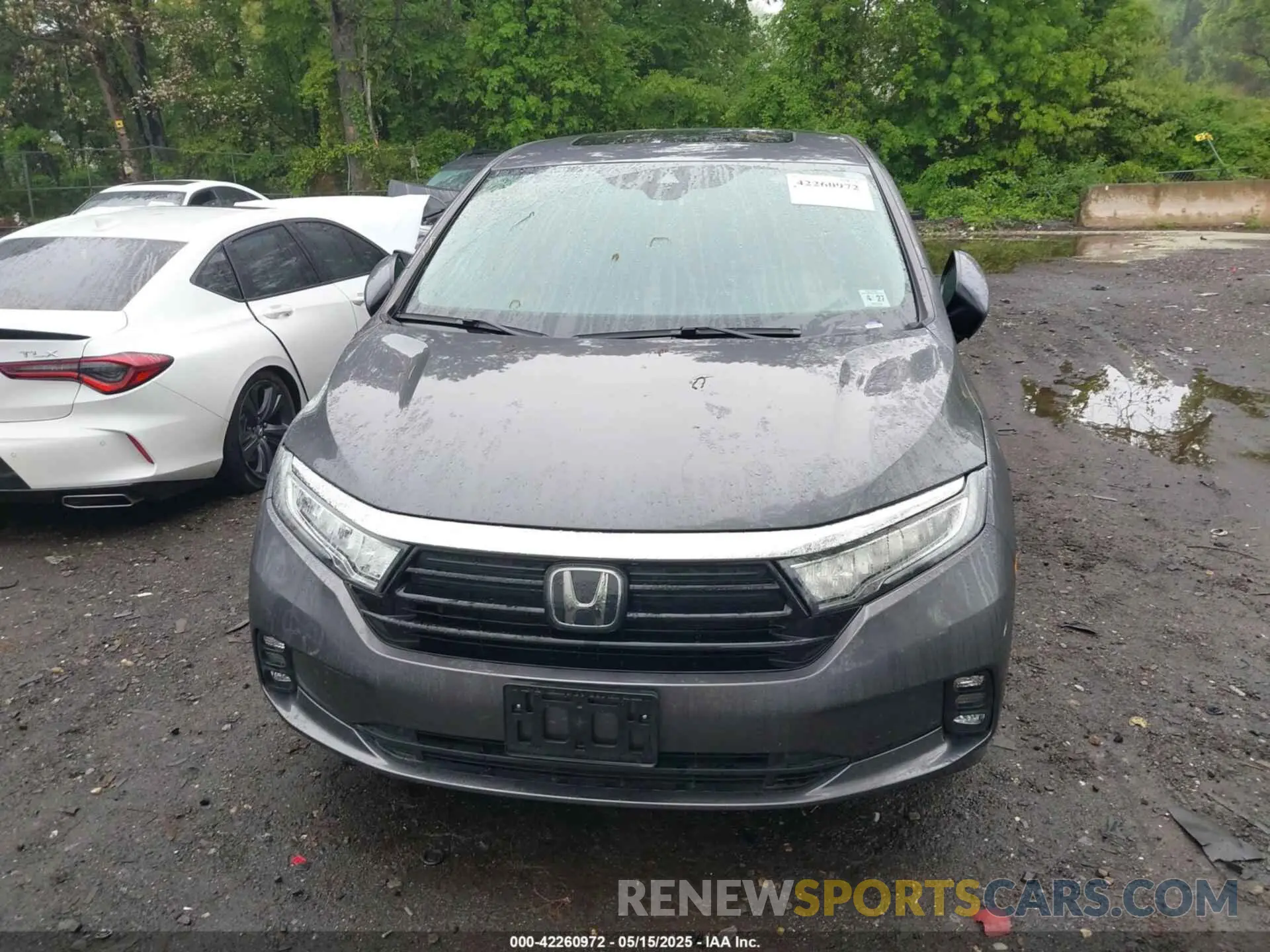 6 Photograph of a damaged car 5FNRL6H77NB018068 HONDA ODYSSEY 2022