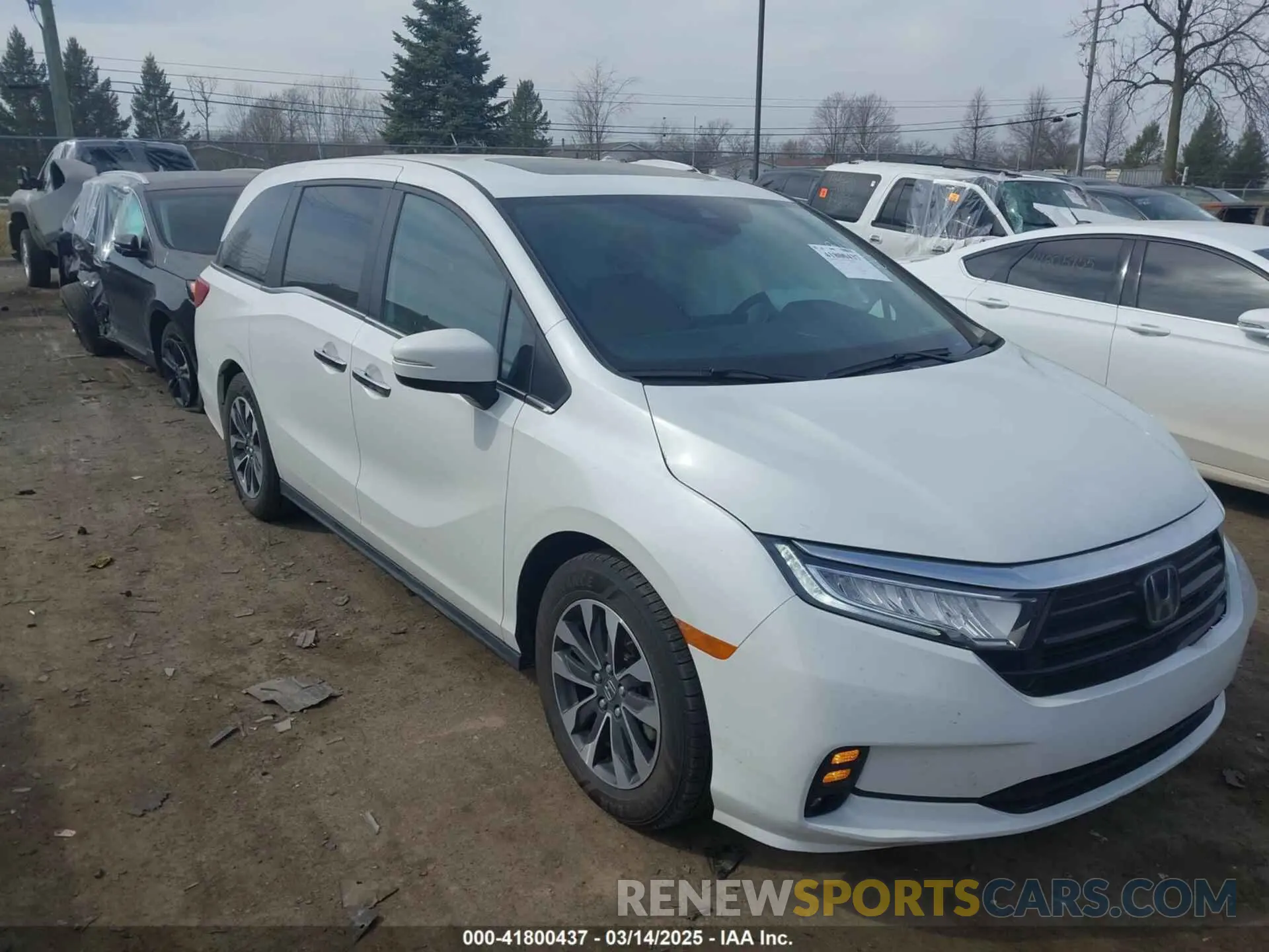 1 Фотография поврежденного автомобиля 5FNRL6H7XNB043658 HONDA ODYSSEY 2022