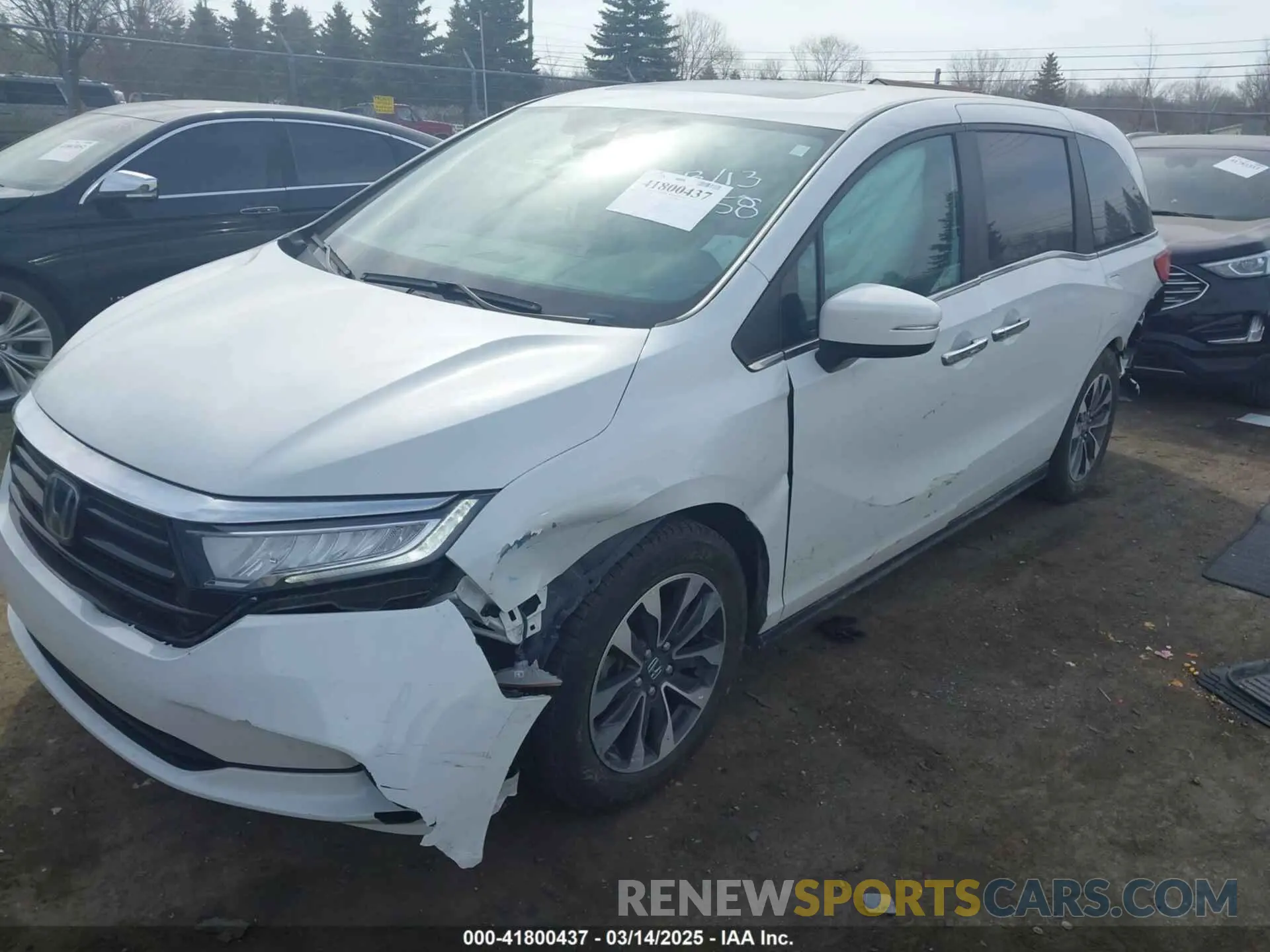 2 Фотография поврежденного автомобиля 5FNRL6H7XNB043658 HONDA ODYSSEY 2022