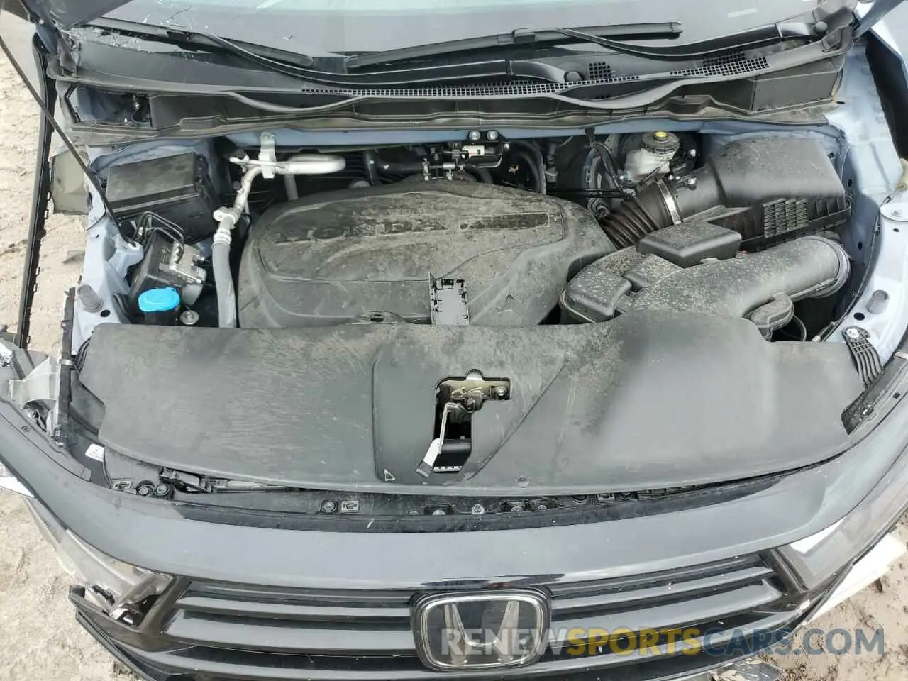 13 Фотография поврежденного автомобиля 5FNRL6H75RB065699 HONDA ODYSSEY SP 2024
