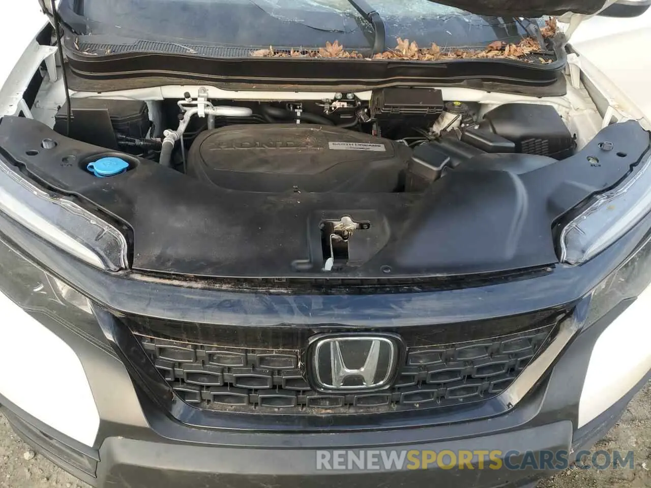 12 Photograph of a damaged car 5FNYF7H52KB009328 HONDA PASSPORT 2019