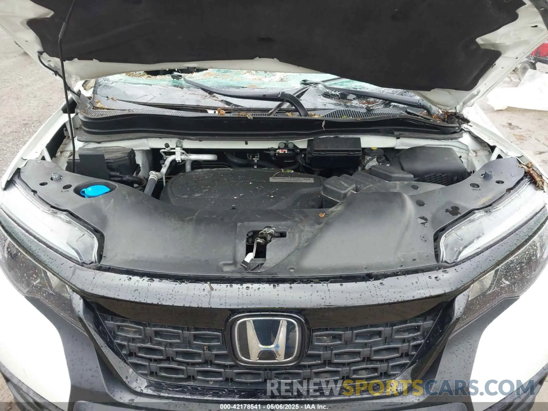 10 Фотография поврежденного автомобиля 5FNYF8H28KB010303 HONDA PASSPORT 2019