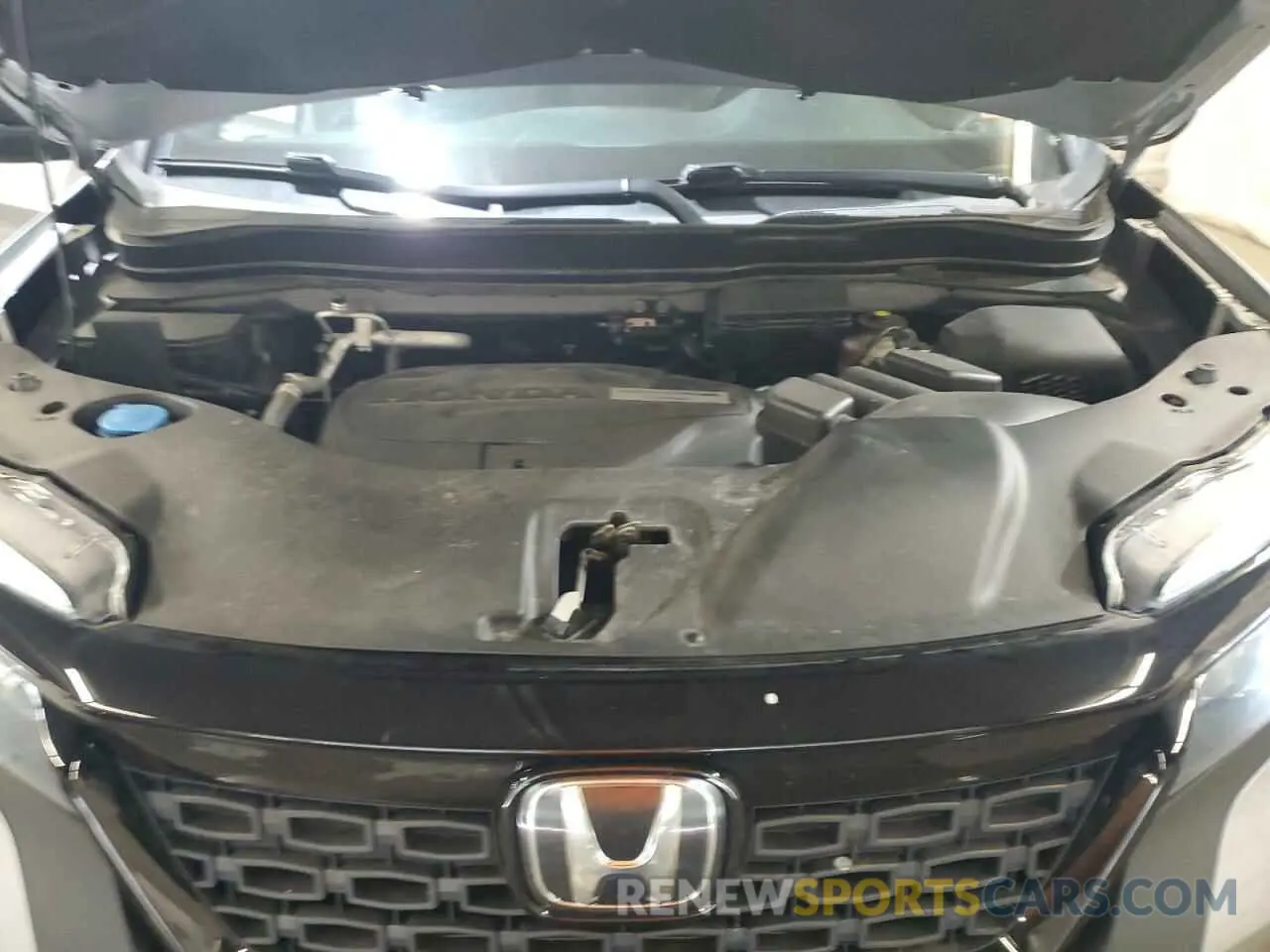 12 Фотография поврежденного автомобиля 5FNYF8H59KB019537 HONDA PASSPORT 2019