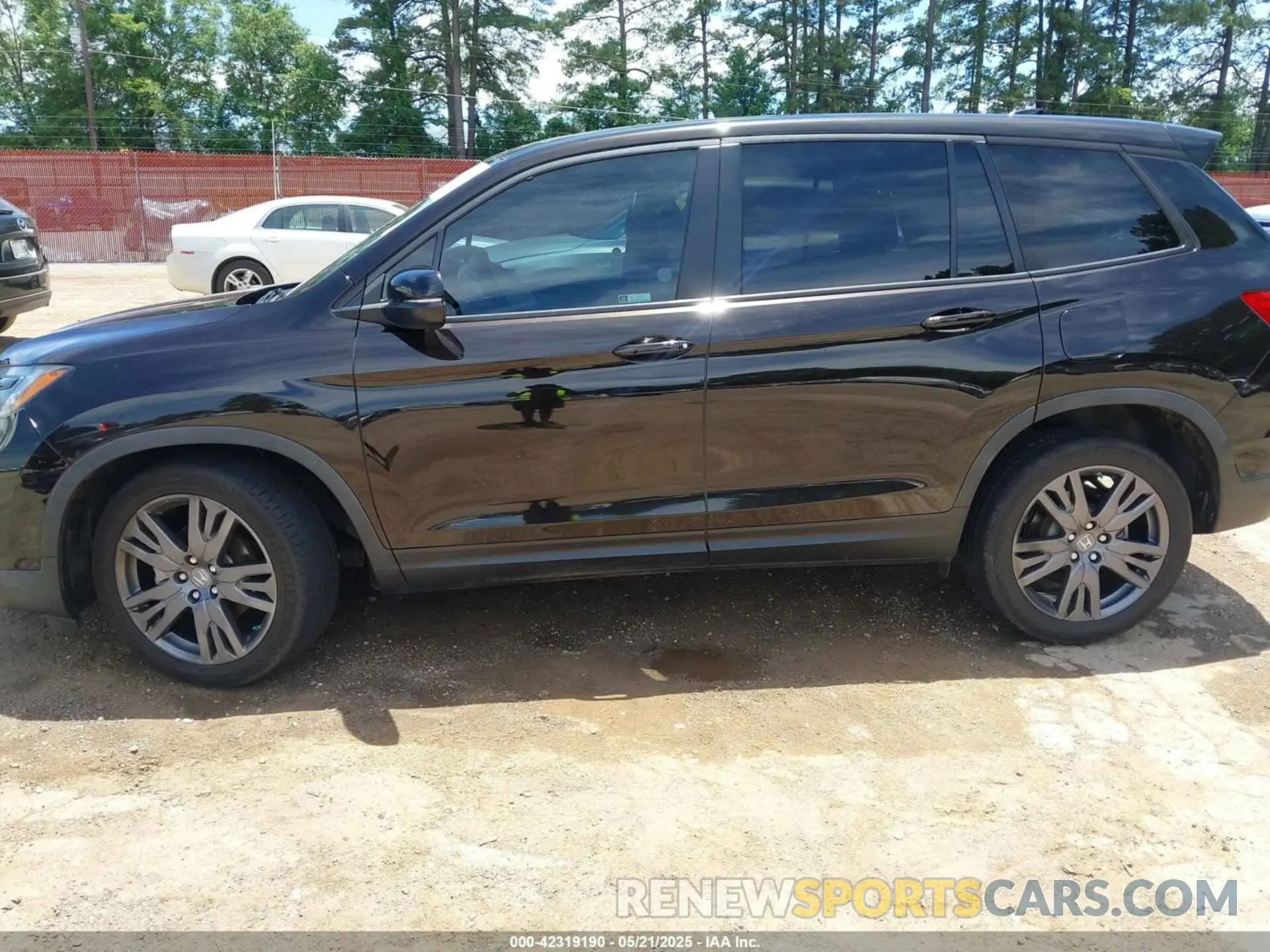 14 Фотография поврежденного автомобиля 5FNYF7H5XMB006986 HONDA PASSPORT 2021