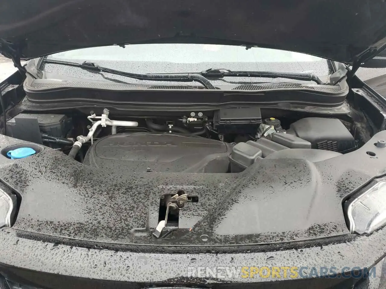 14 Фотография поврежденного автомобиля 5FNYF8H25MB008429 HONDA PASSPORT 2021
