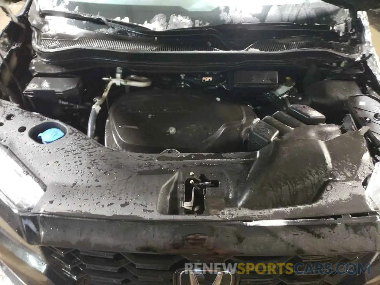 11 Фотография поврежденного автомобиля 5FNYF8H08NB018128 HONDA PASSPORT 2022