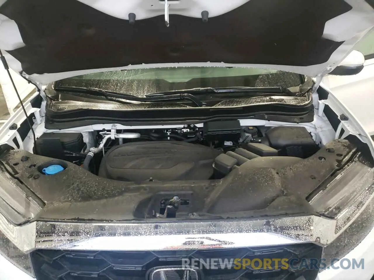 14 Photograph of a damaged car 5FNYF8H54RB020153 HONDA PASSPORT 2024