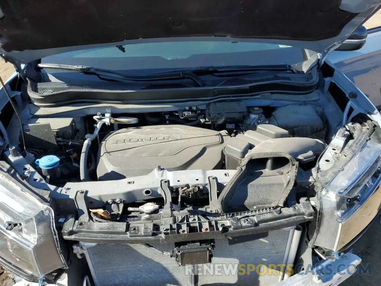 12 Фотография поврежденного автомобиля 5FNYF8H64RB005399 HONDA PASSPORT 2024