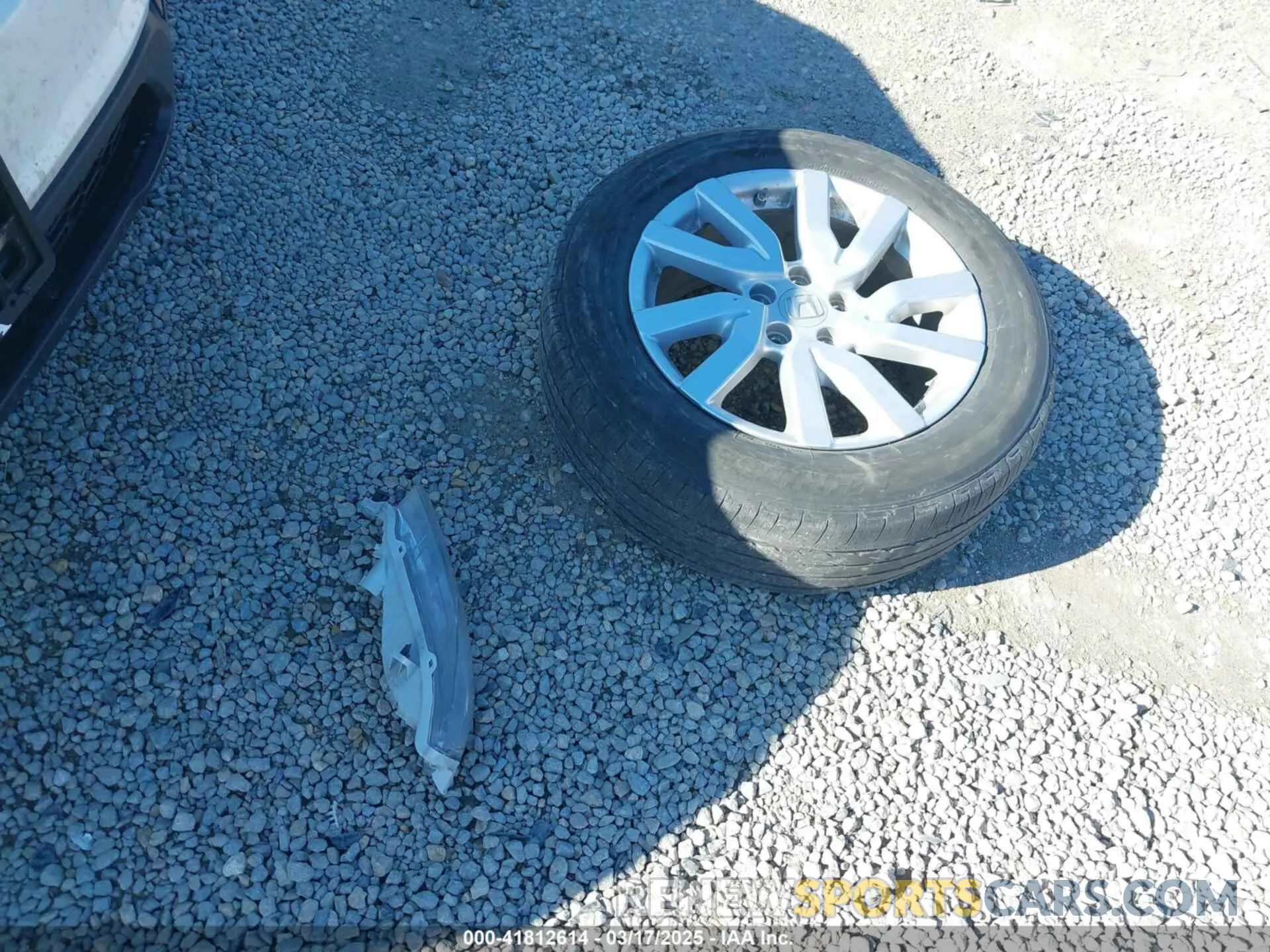 12 Фотография поврежденного автомобиля 5FNYF5H11KB006065 HONDA PILOT 2019