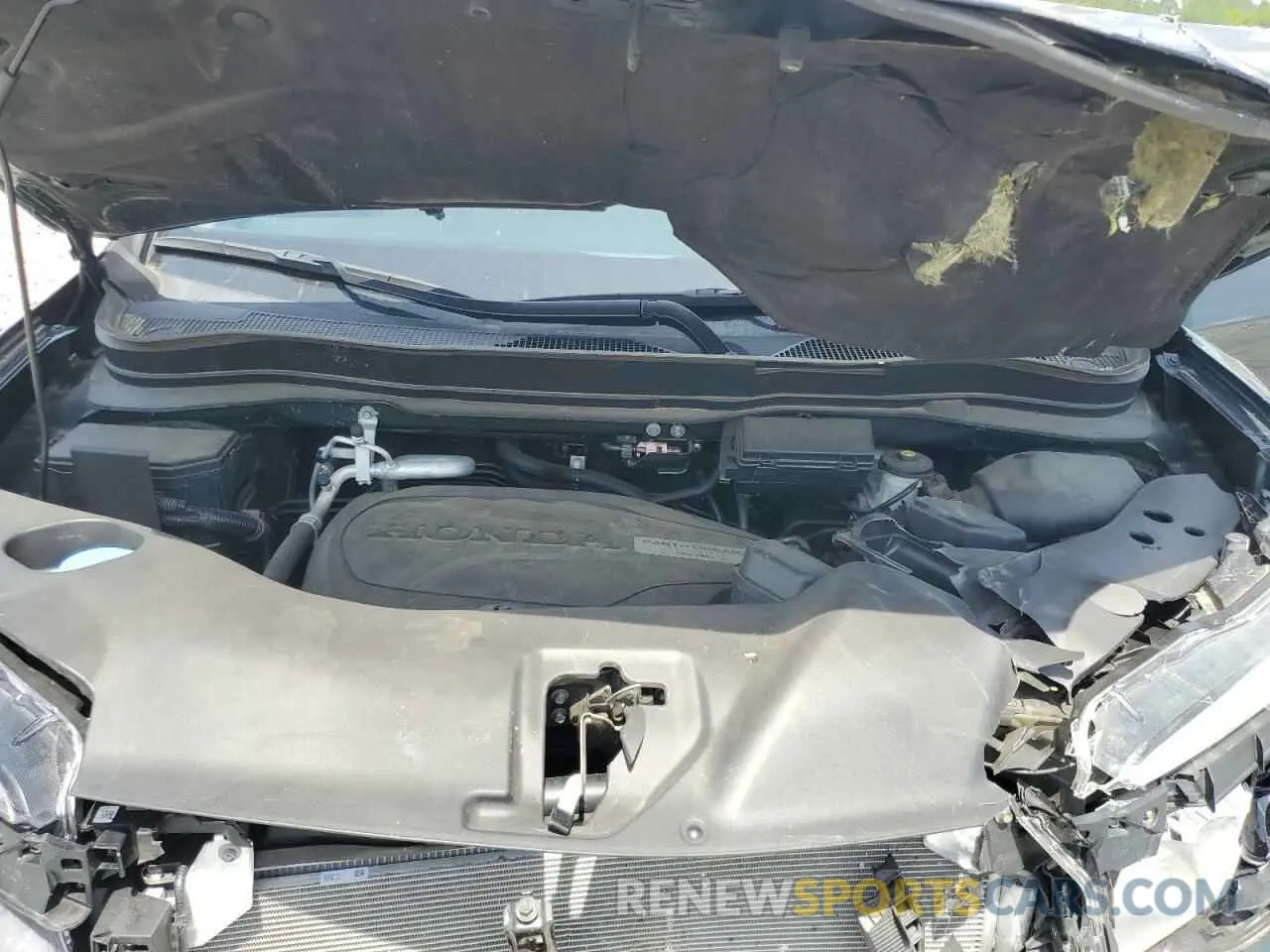 12 Фотография поврежденного автомобиля 5FNYF5H18KB036230 HONDA PILOT 2019