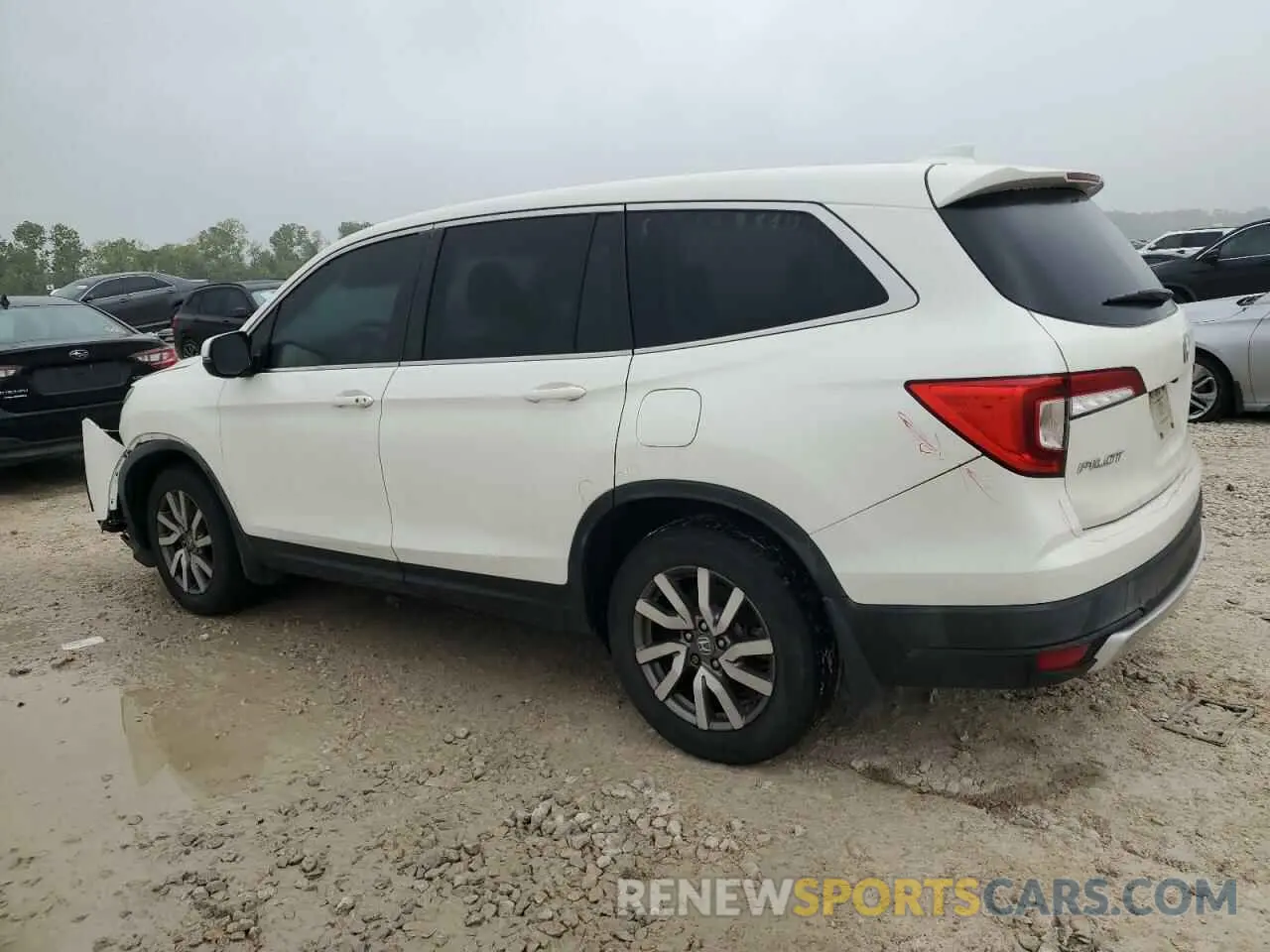 2 Фотография поврежденного автомобиля 5FNYF5H33KB039408 HONDA PILOT 2019