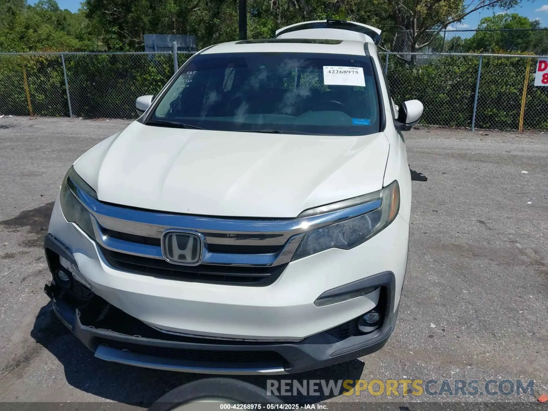 13 Photograph of a damaged car 5FNYF5H53KB012596 HONDA PILOT 2019