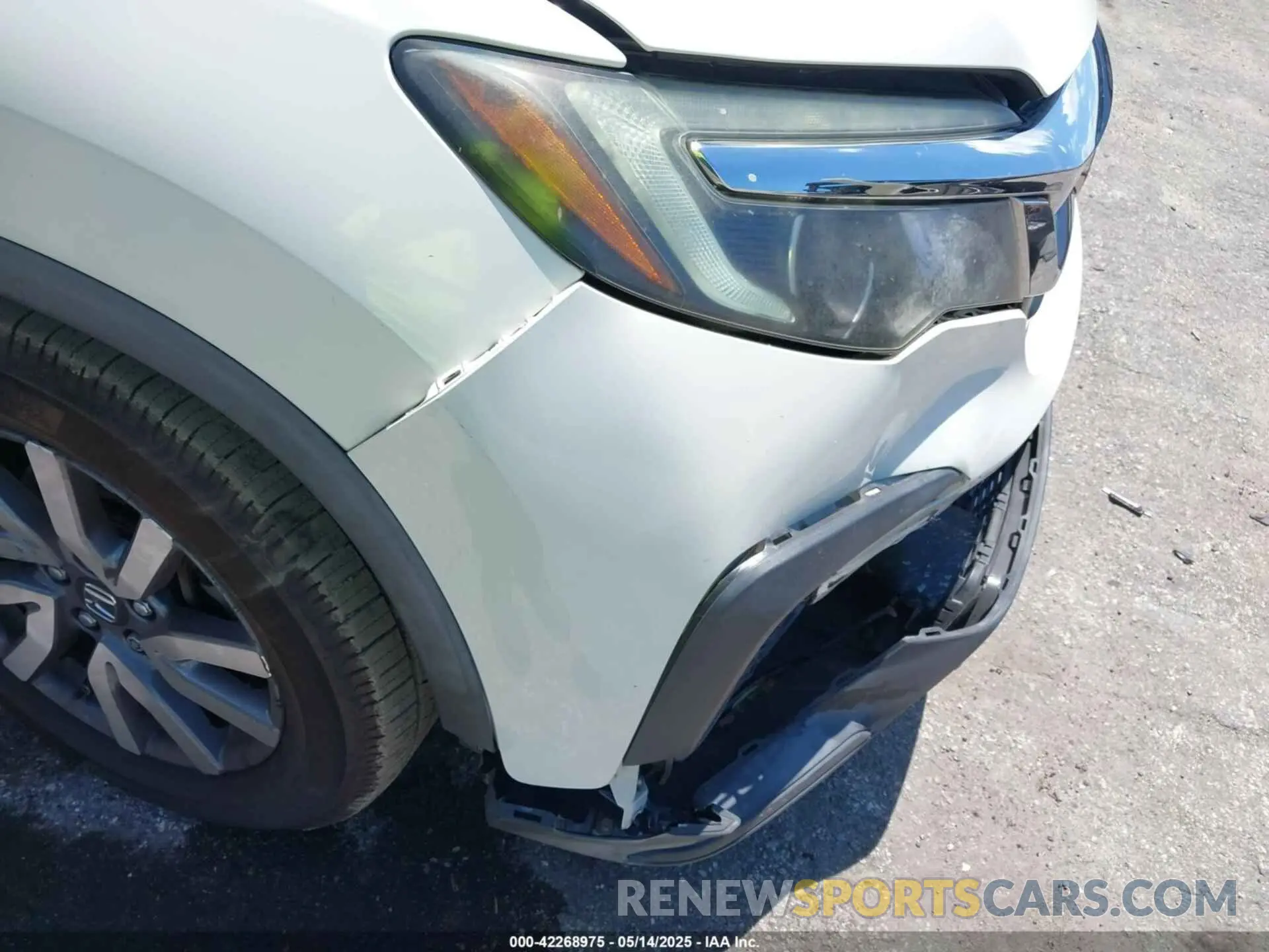6 Photograph of a damaged car 5FNYF5H53KB012596 HONDA PILOT 2019