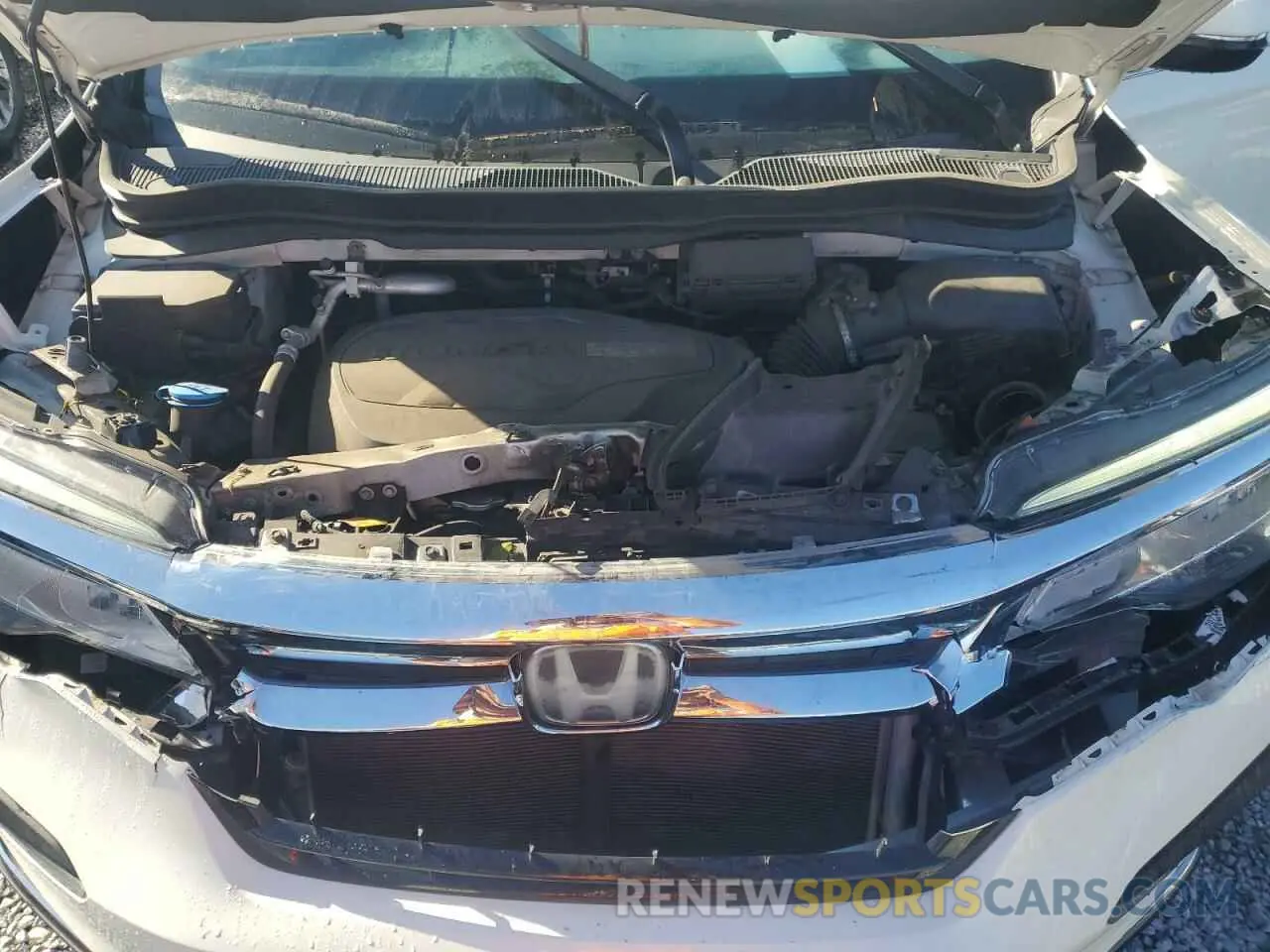 12 Фотография поврежденного автомобиля 5FNYF5H65KB039145 HONDA PILOT 2019